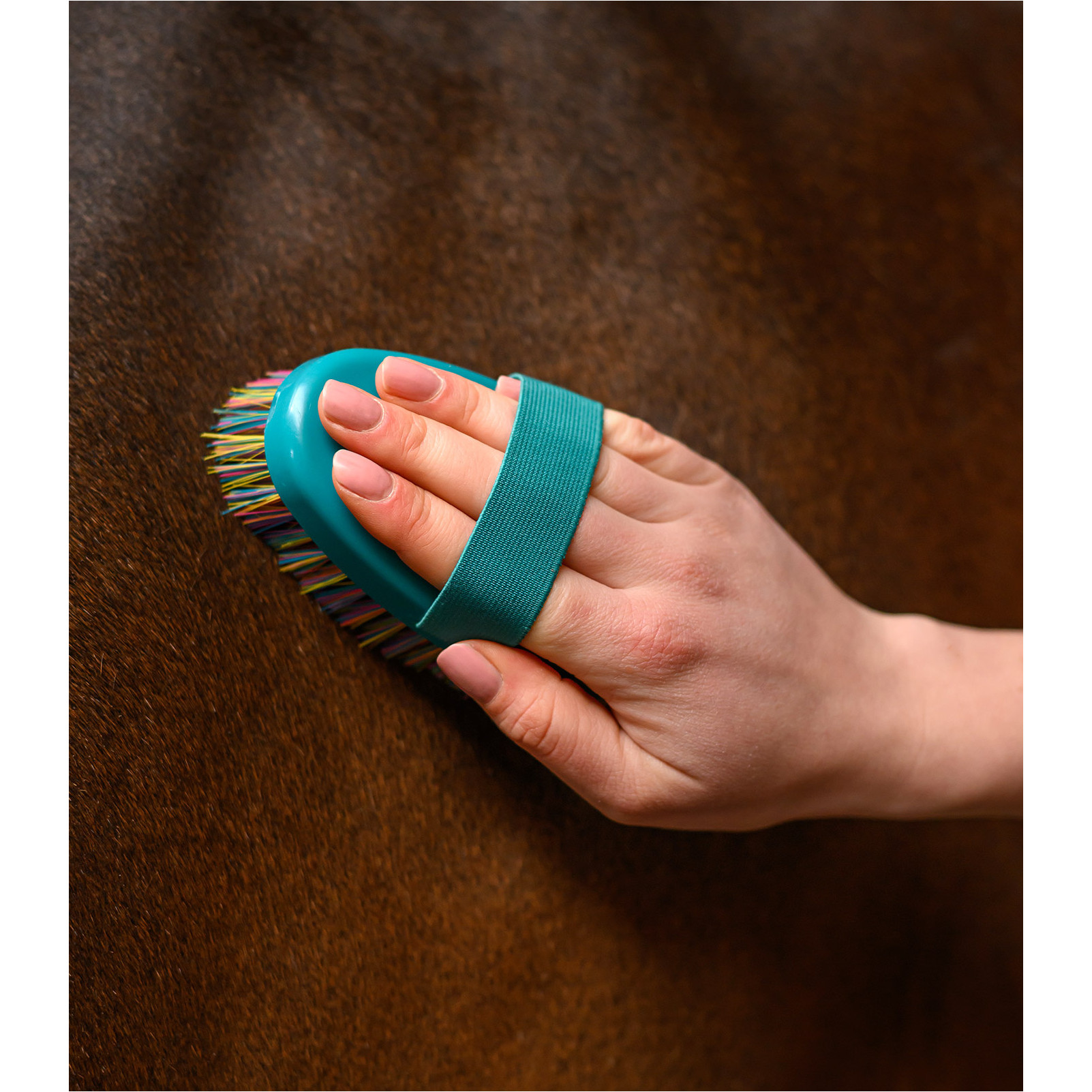 Kardätsche RAINBOW petrolblau