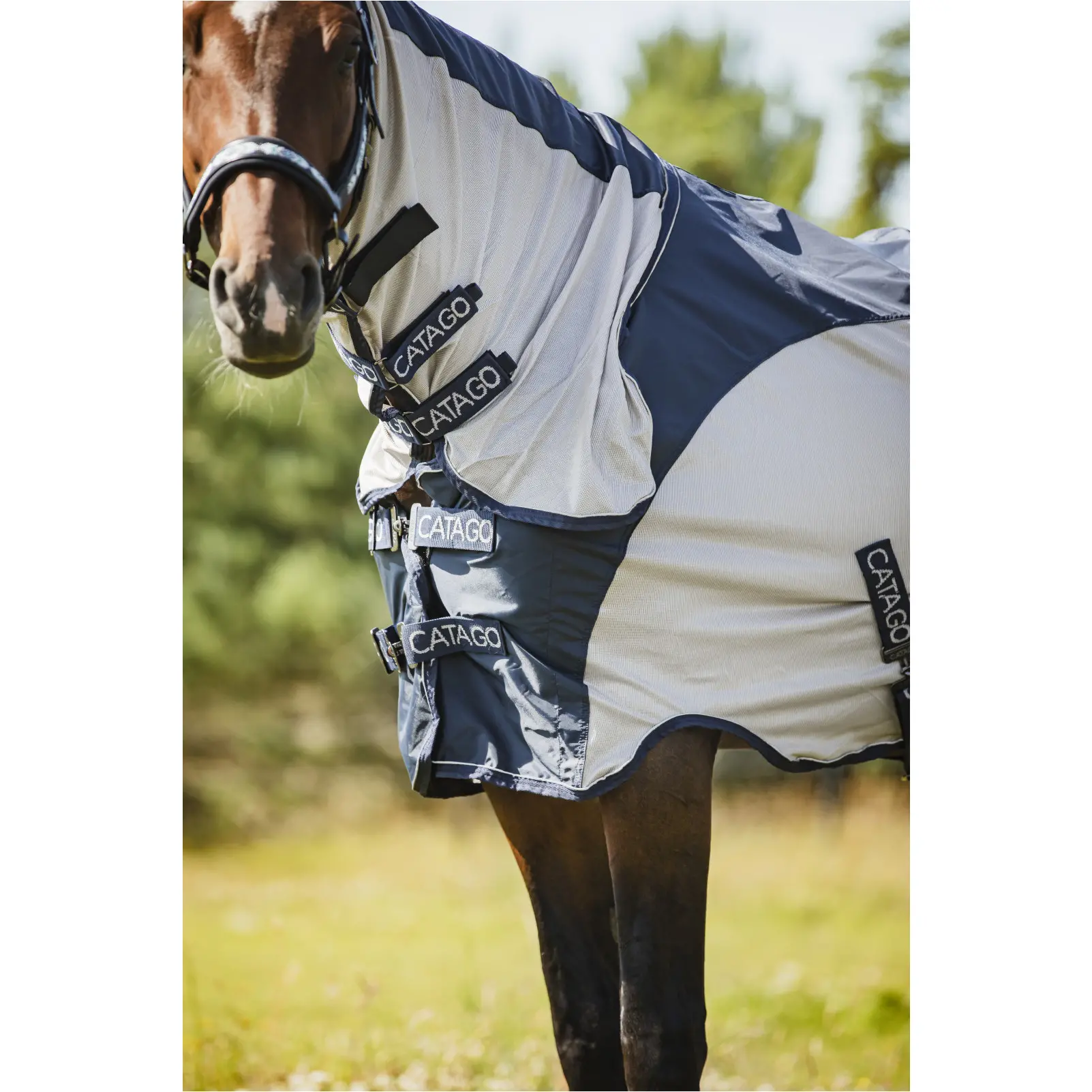 Regen- und Fliegendecke TAYLIN navy