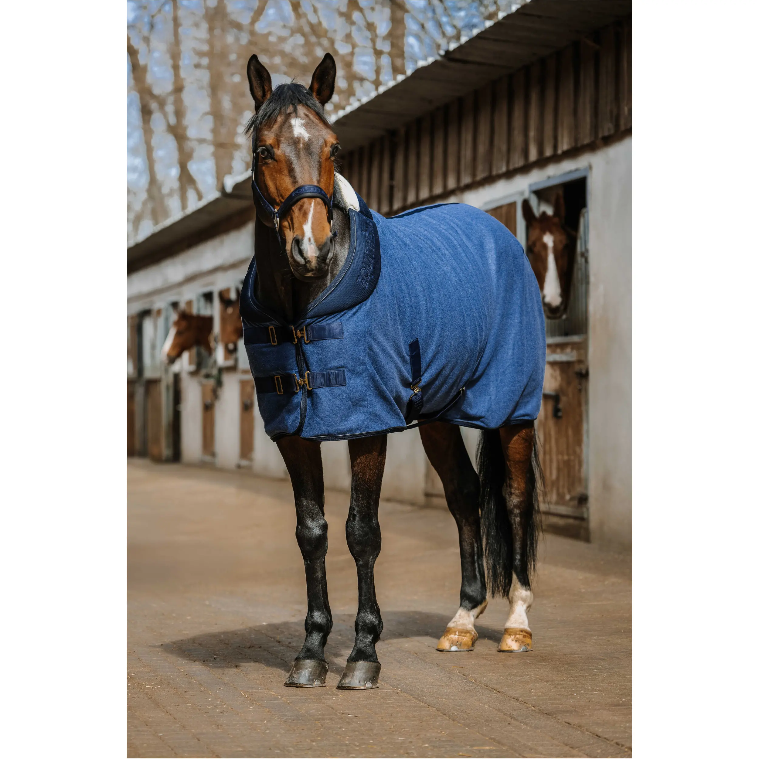 Abschwitzdecke COMFORTECH navy