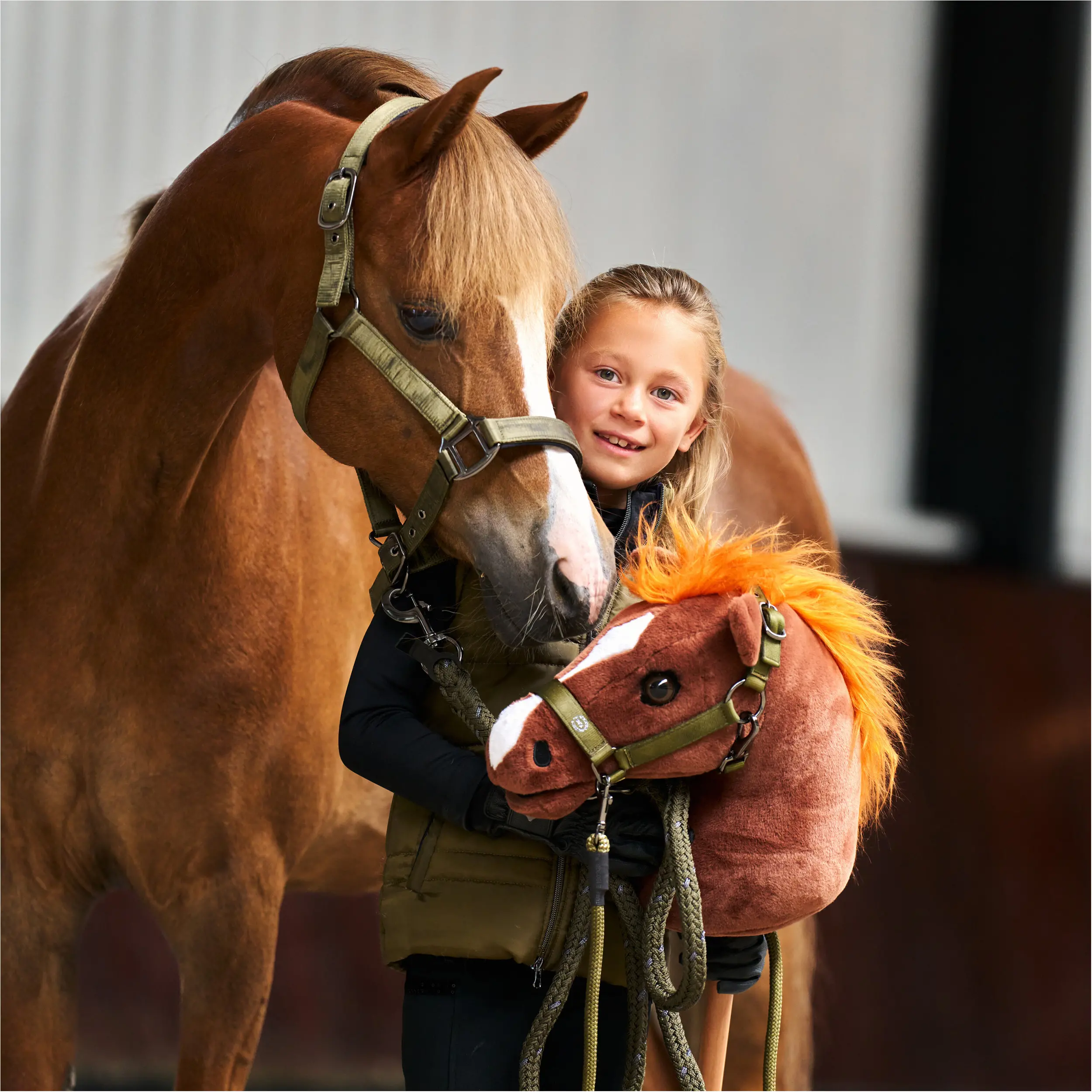 Hobby Horse IRHGrand Prix chestnut Hobby Horse IRHGrand Prix chestnut