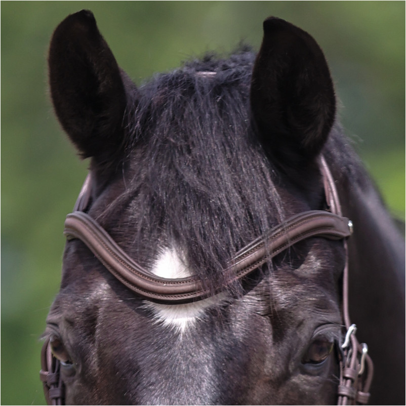 Stirnband LEATHER braun Stirnband LEATHER braun