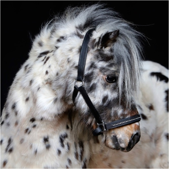 Halfter DIAMOND Leder schwarz