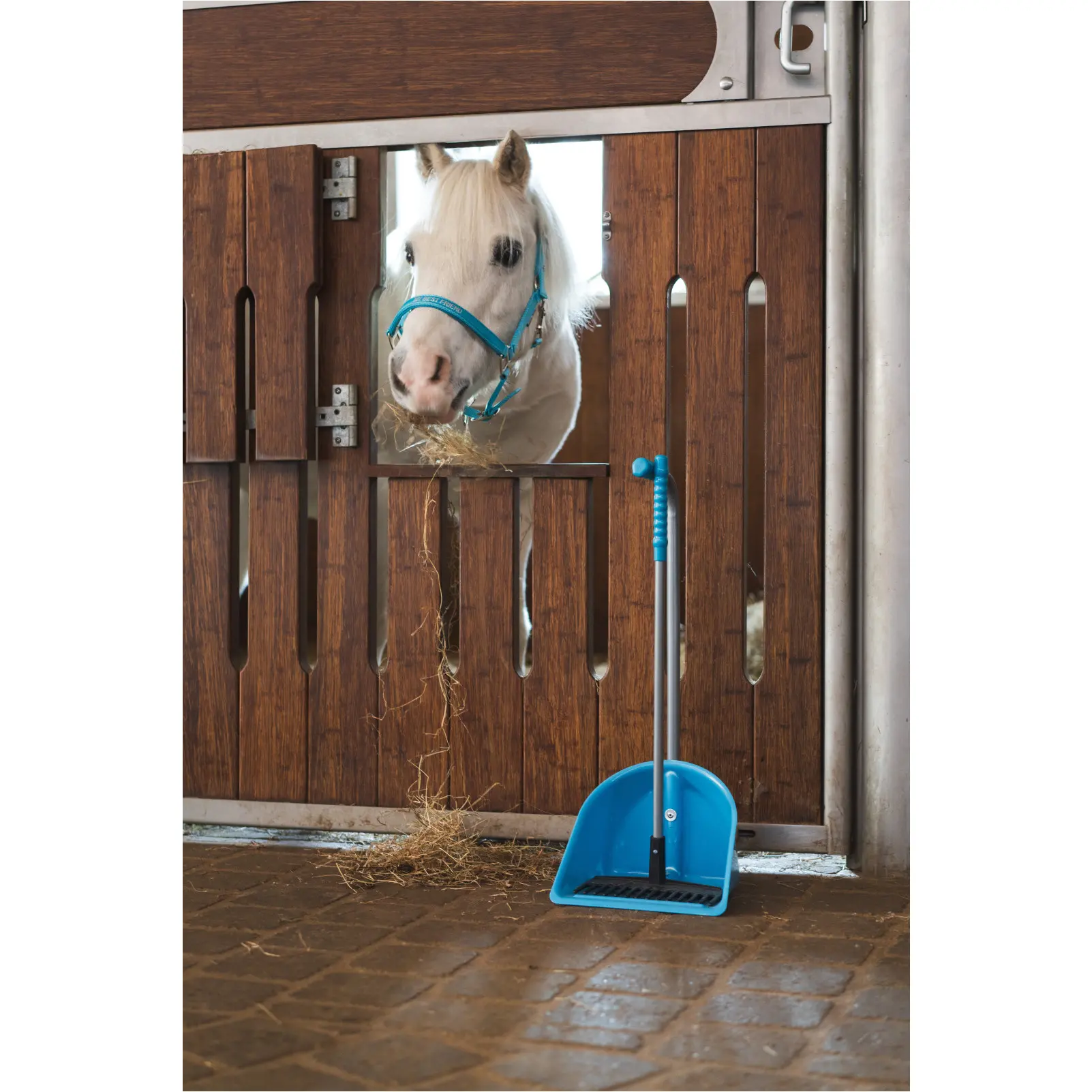 Halfter MALVA aruba blue Halfter MALVA aruba blue