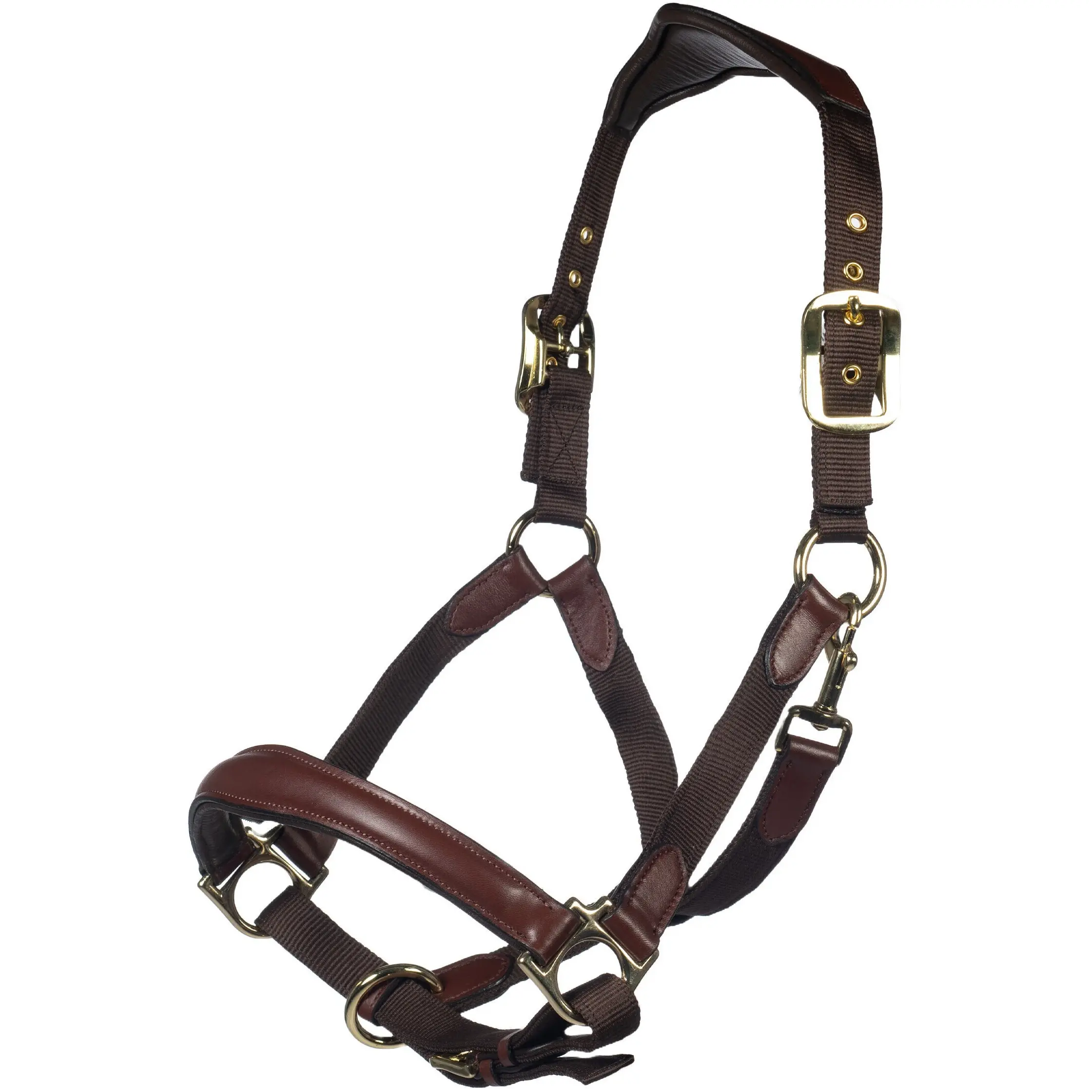 Halfter LUNA dunkelbraun/dunkelbraun