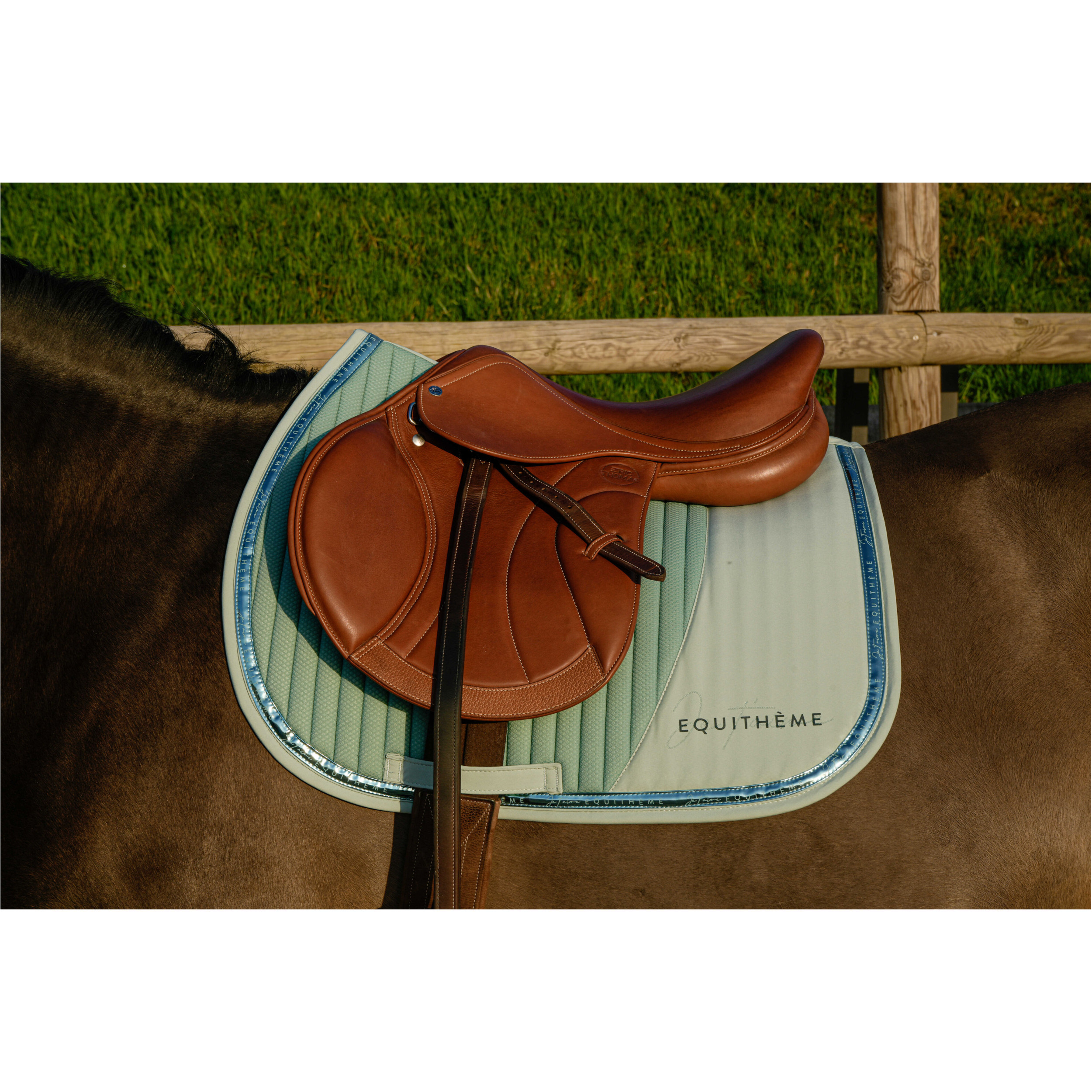 Schabracke Je t’aime EK-TALENT hellgrün Warmblut Vielseitigkeit