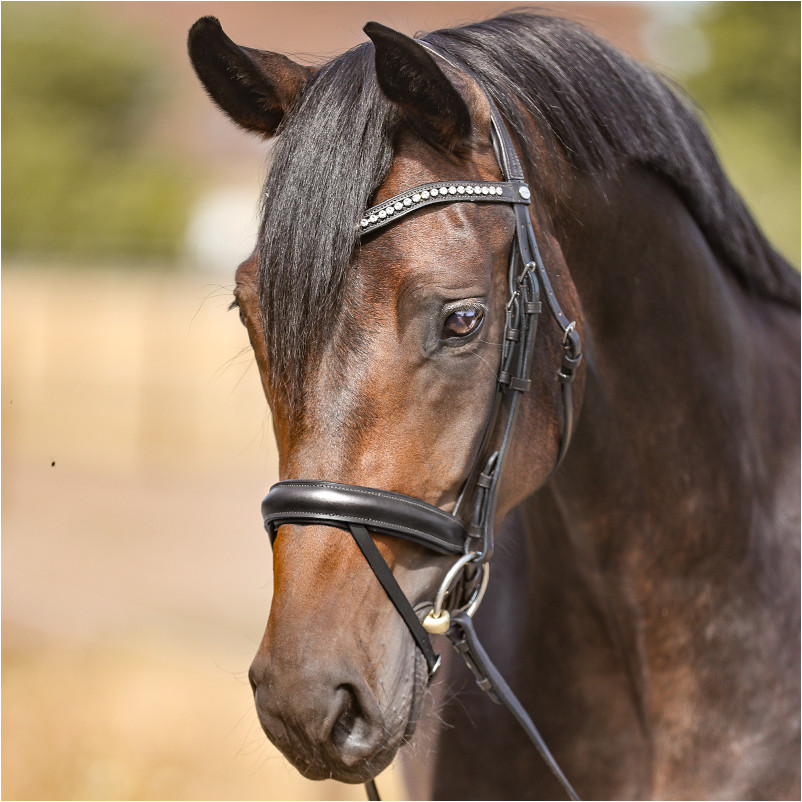 Stirnband GLOSS schwarz/weiß