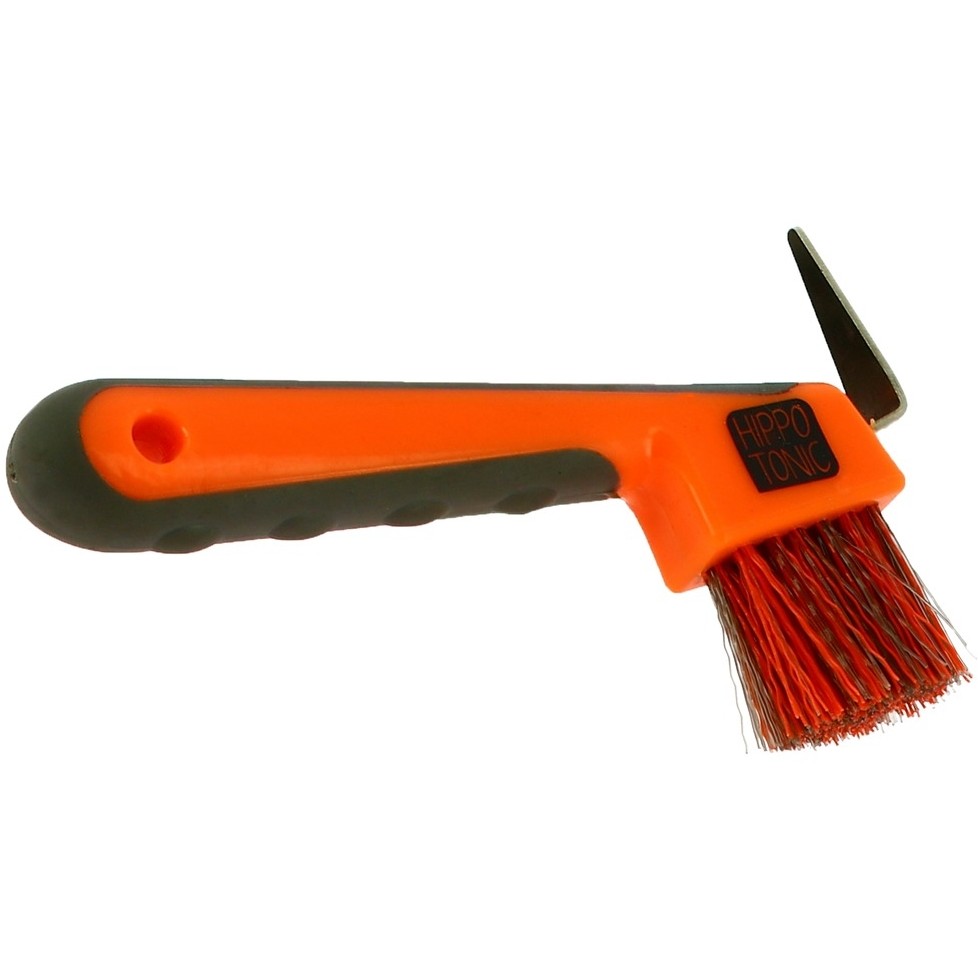 neonorange