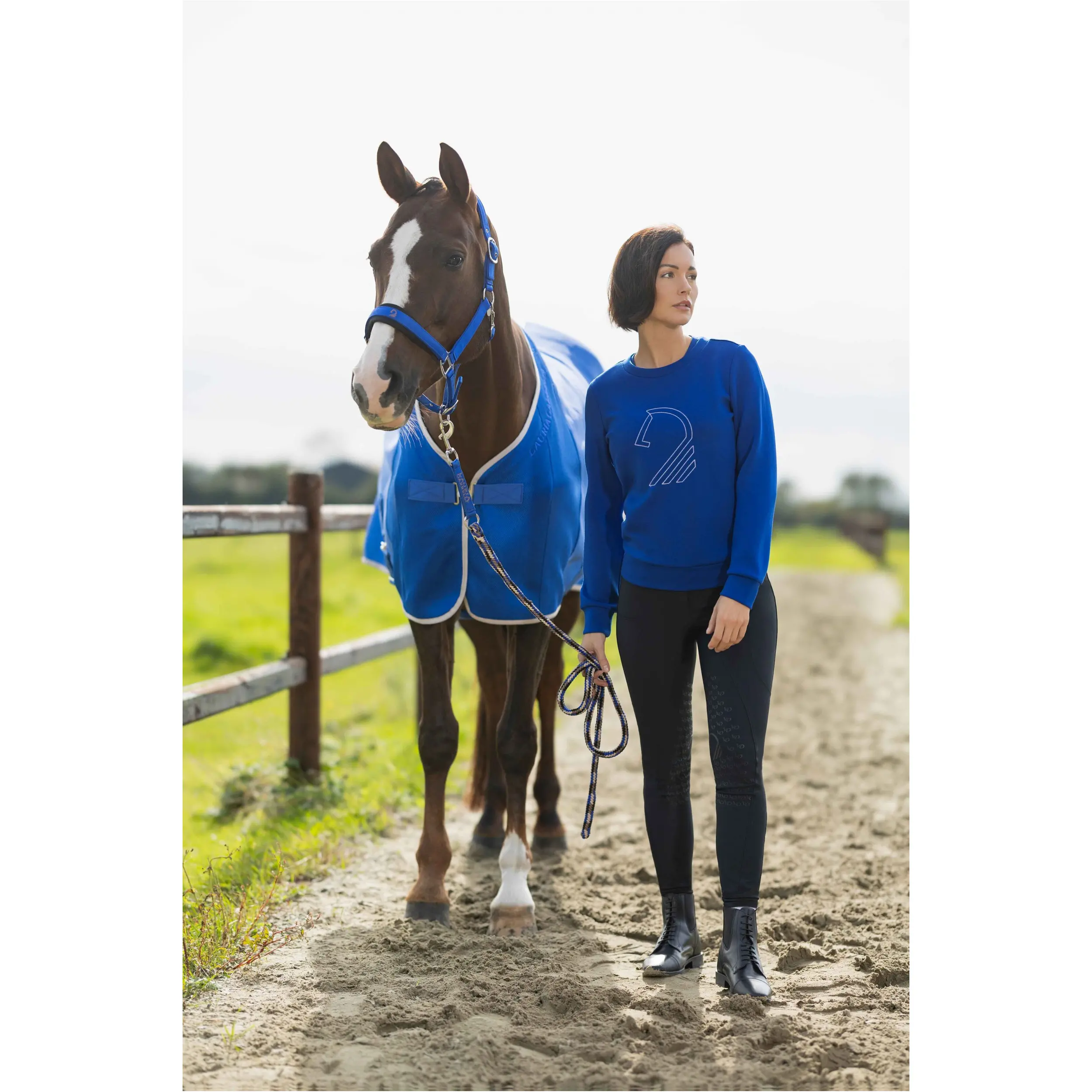 Damen Pullover LIVIGNO HORSE HEAD blau