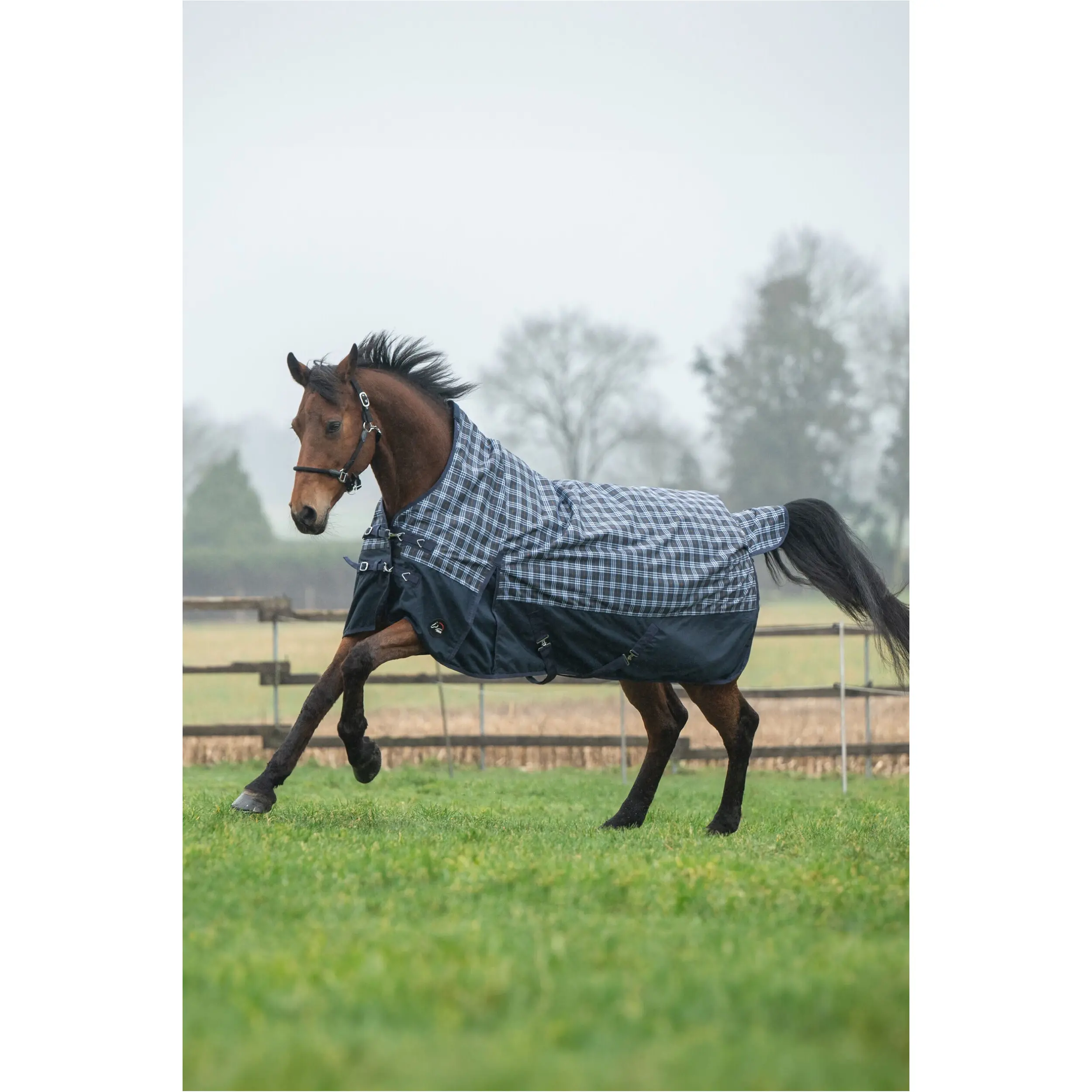 Weidedecke High Neck 300g Füllung 1200D GLASGOW dunkelblau/karo Weidedecke High Neck 300g Füllung 1200D GLASGOW dunkelblau/karo