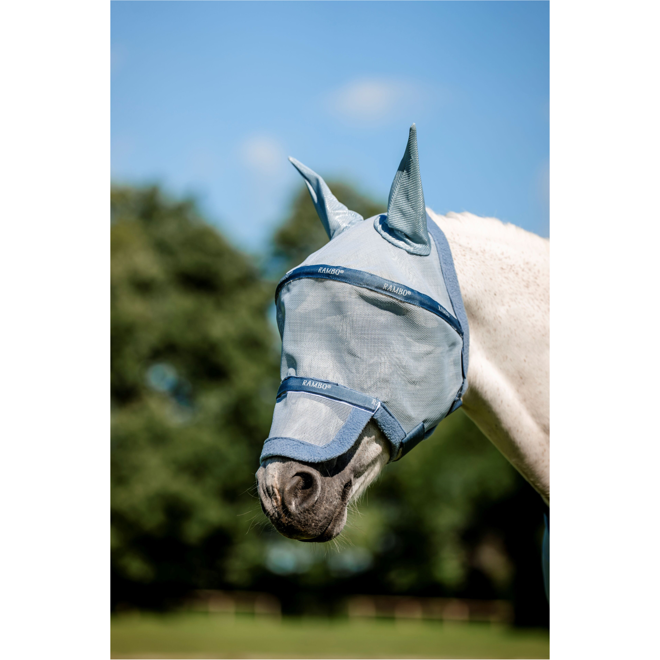 Fliegenmaske RAMBO Plus heather blue/blue/silver