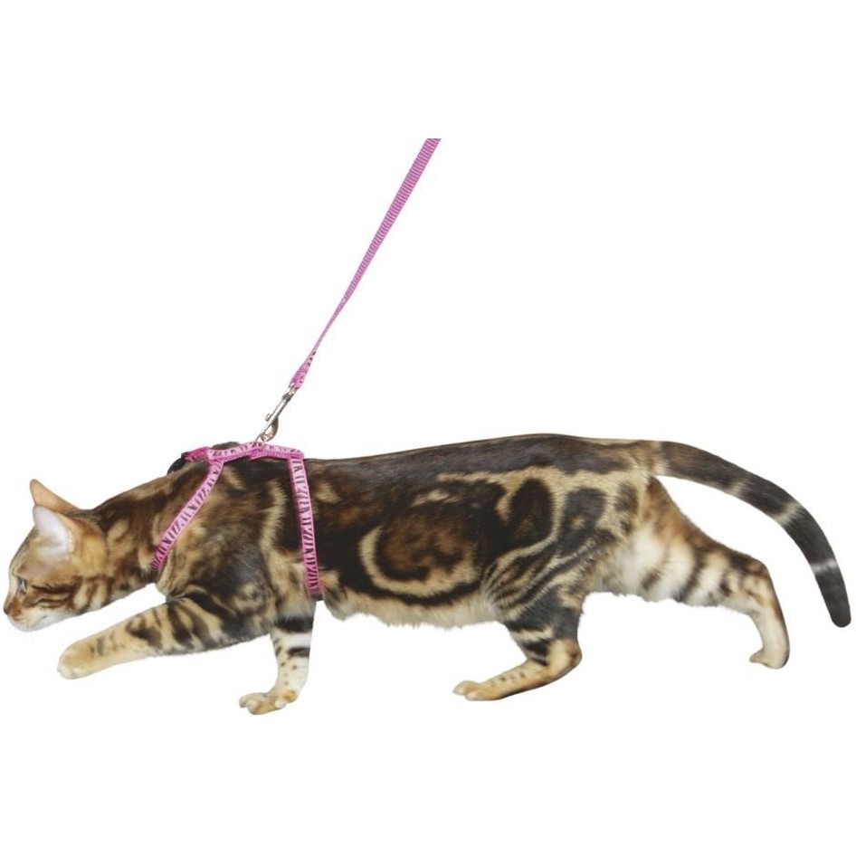 Katzengeschirr mit Leine pink 10x1200mm 