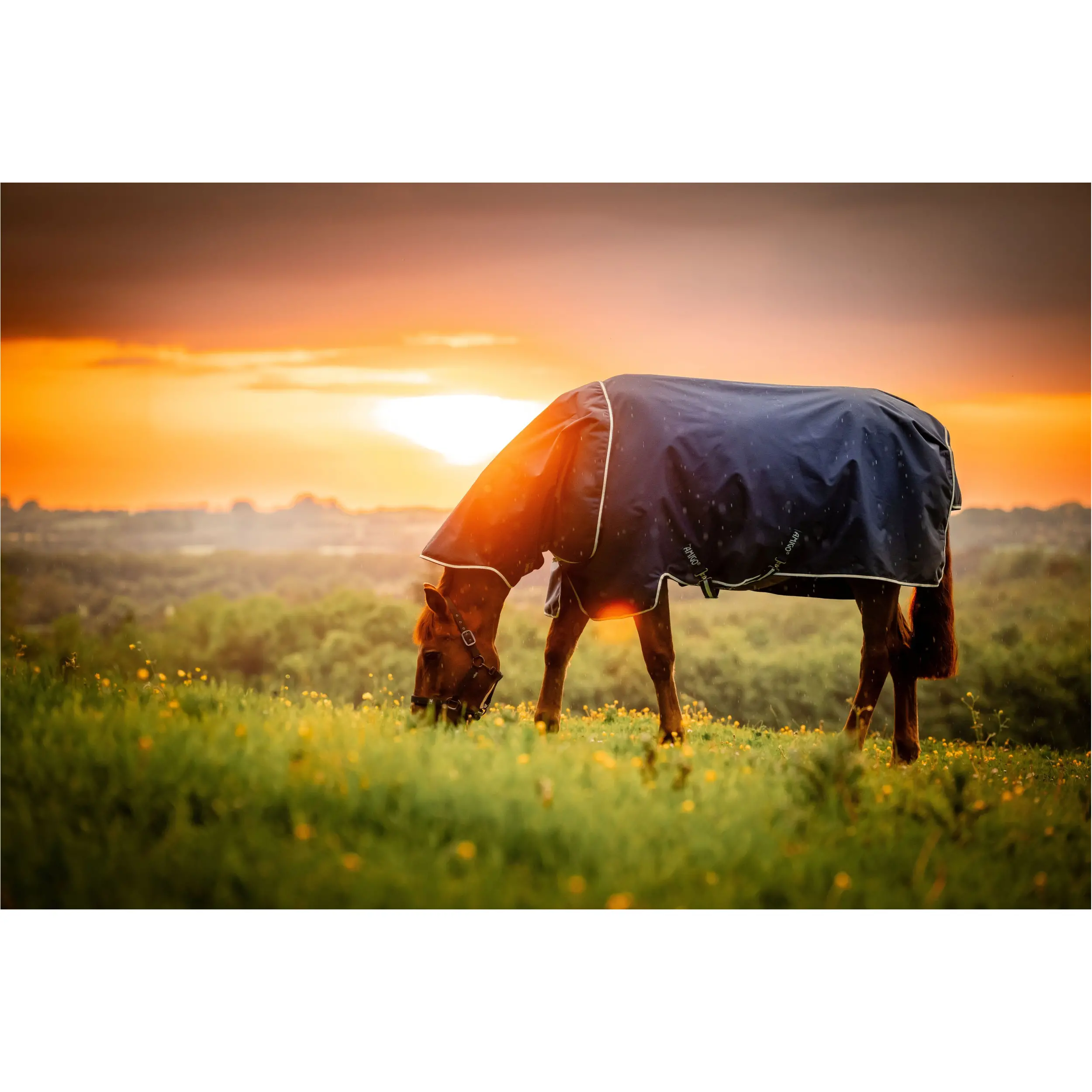 Outdoordecke Halsteil (abnehmbar) 100g Füllung 900D AMIGO Ripstop Plus Turnout witney navy