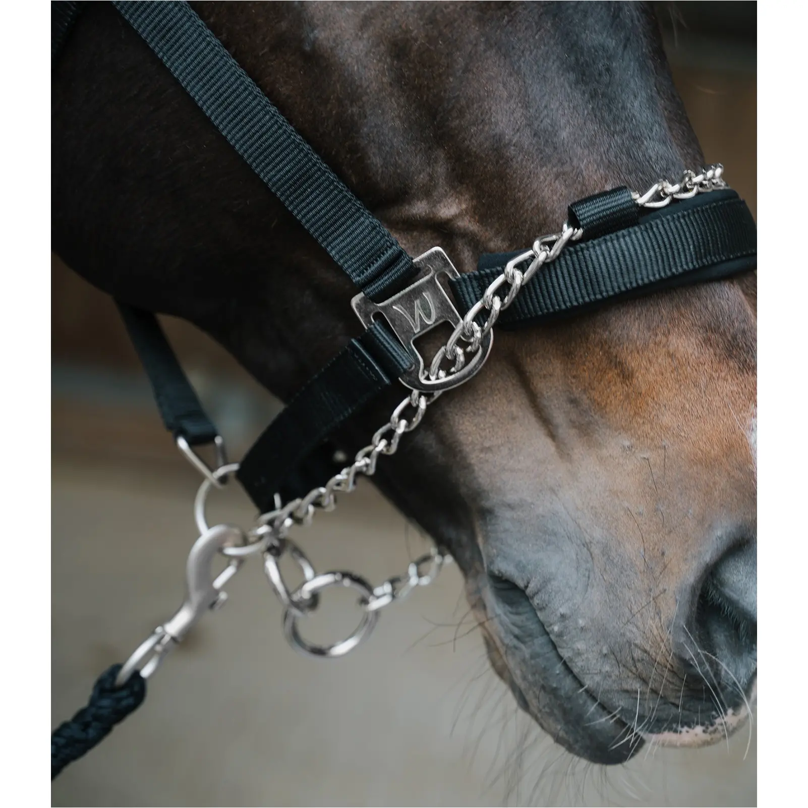 Halfter PRO SAFETY schwarz