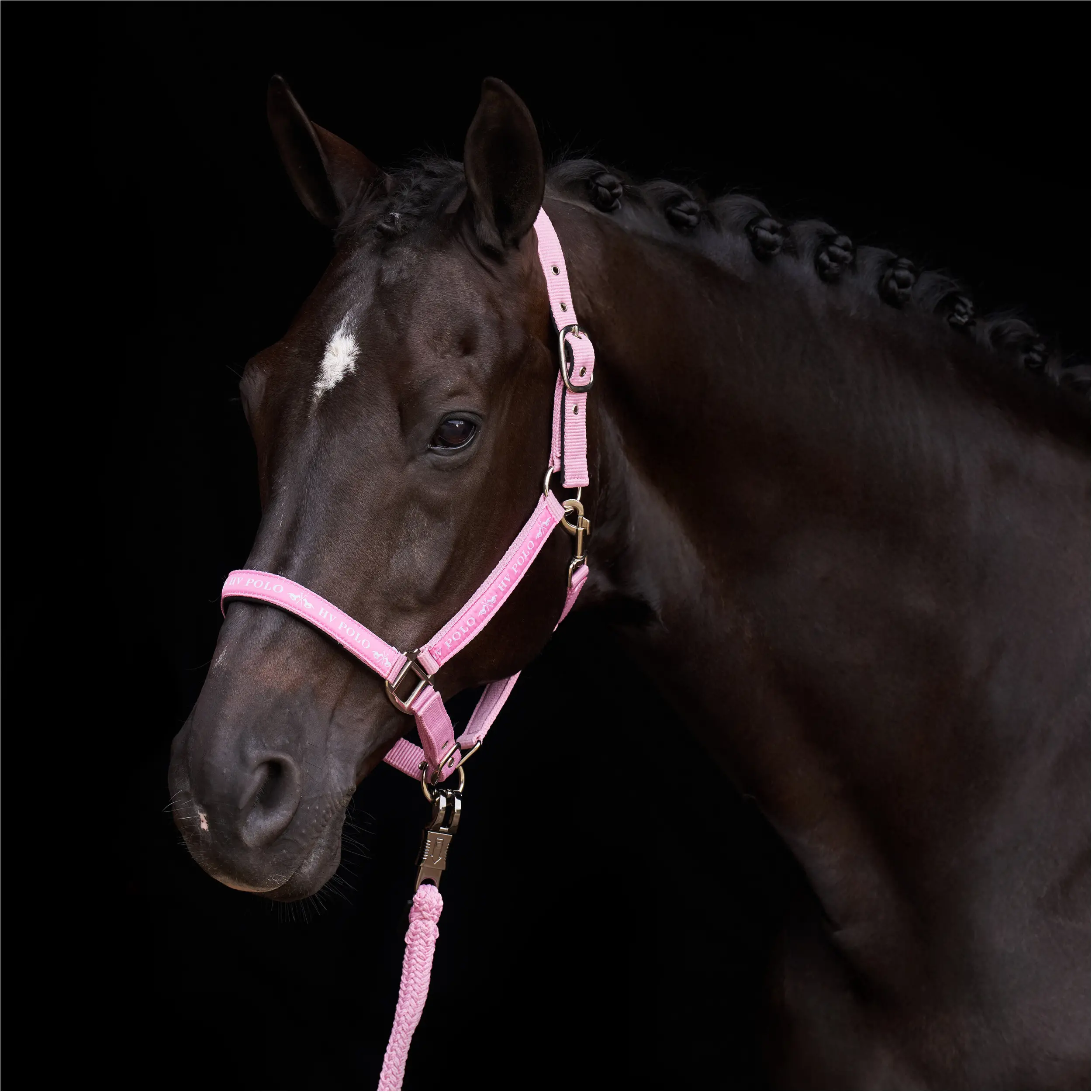 Halfter HVPNena pretty pink