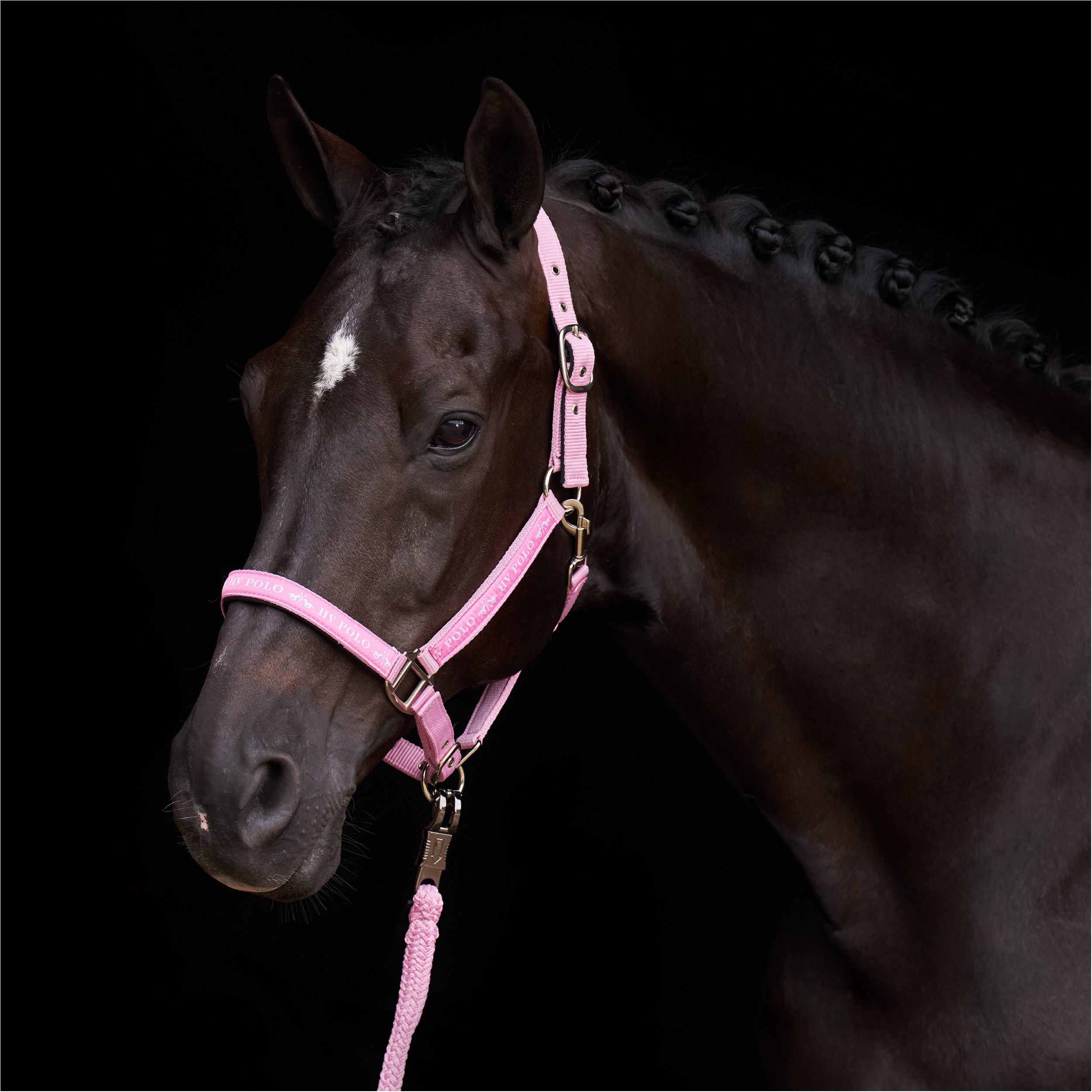 Halfter HVPNena pretty pink