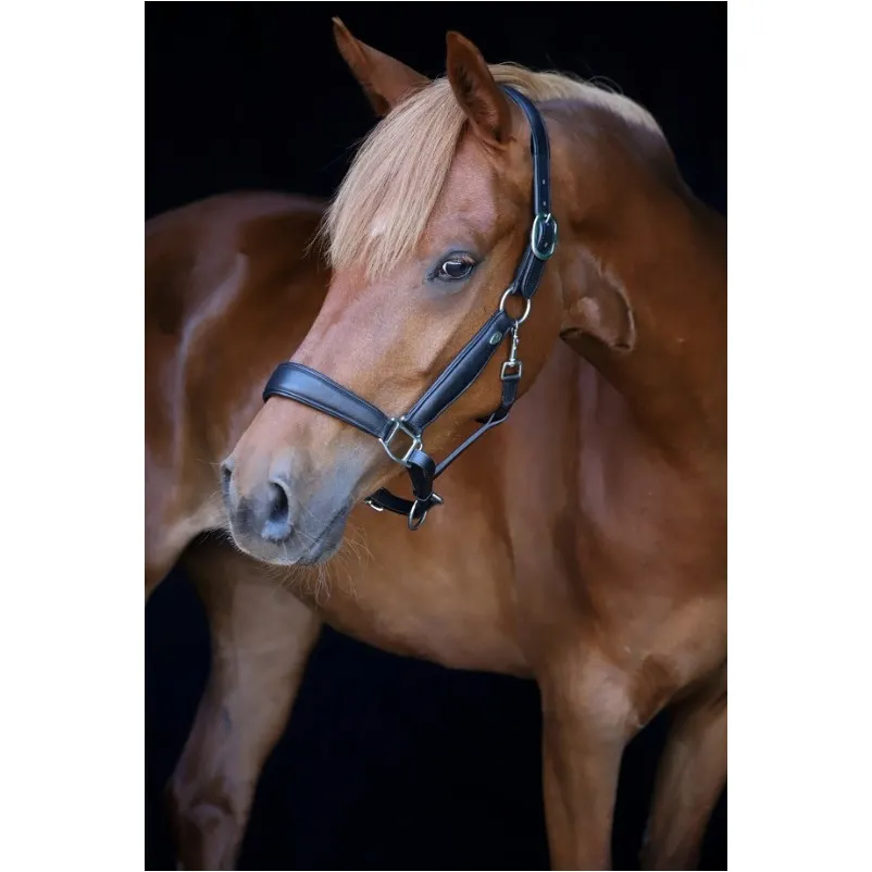 Halfter Soft COMFORT Leder schwarz