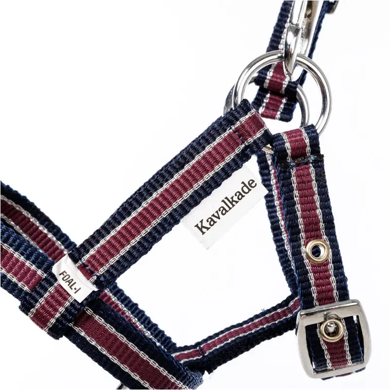 Fohlenhalfter marine/bordeaux/silber