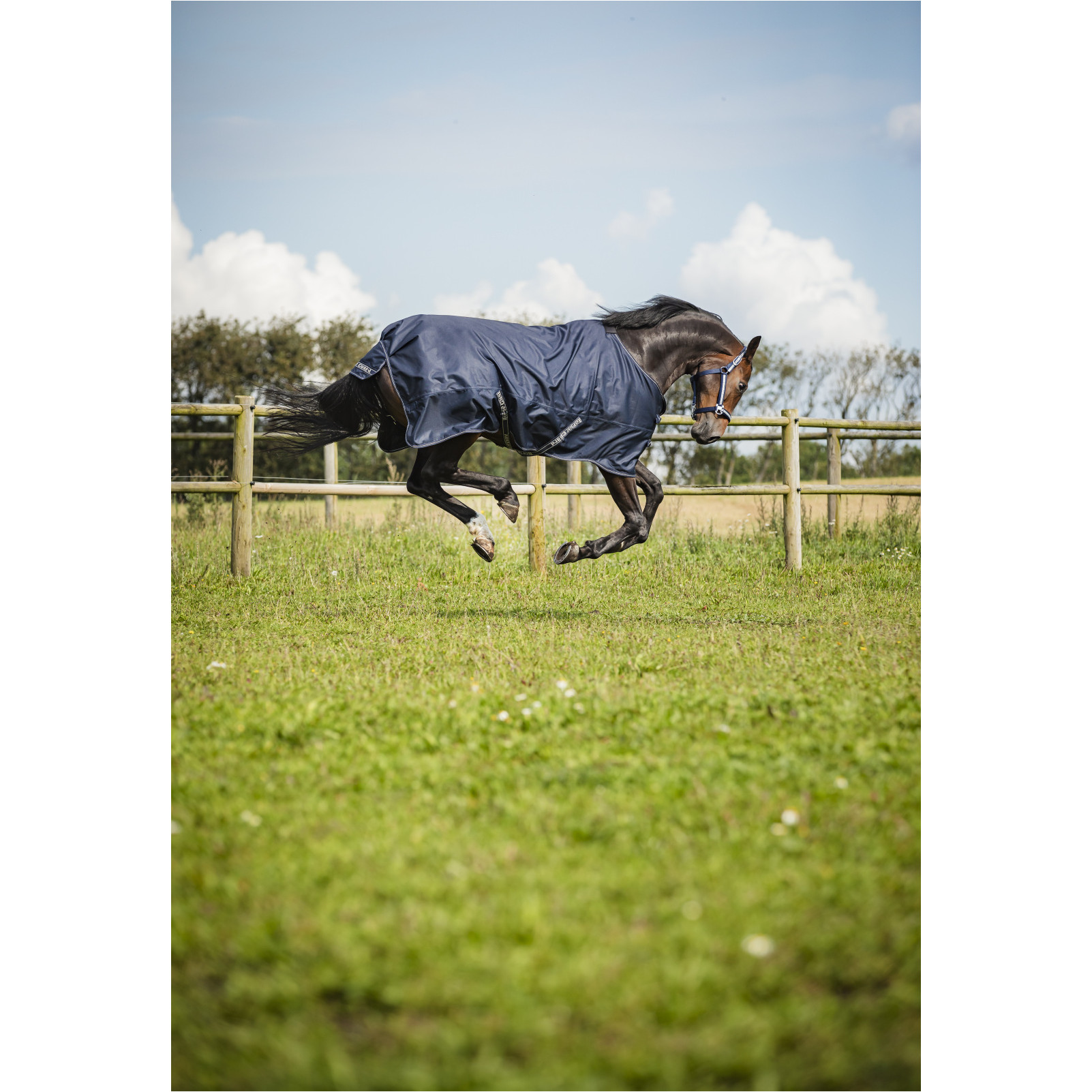 Turnoutdecke 1200D LANDON navy