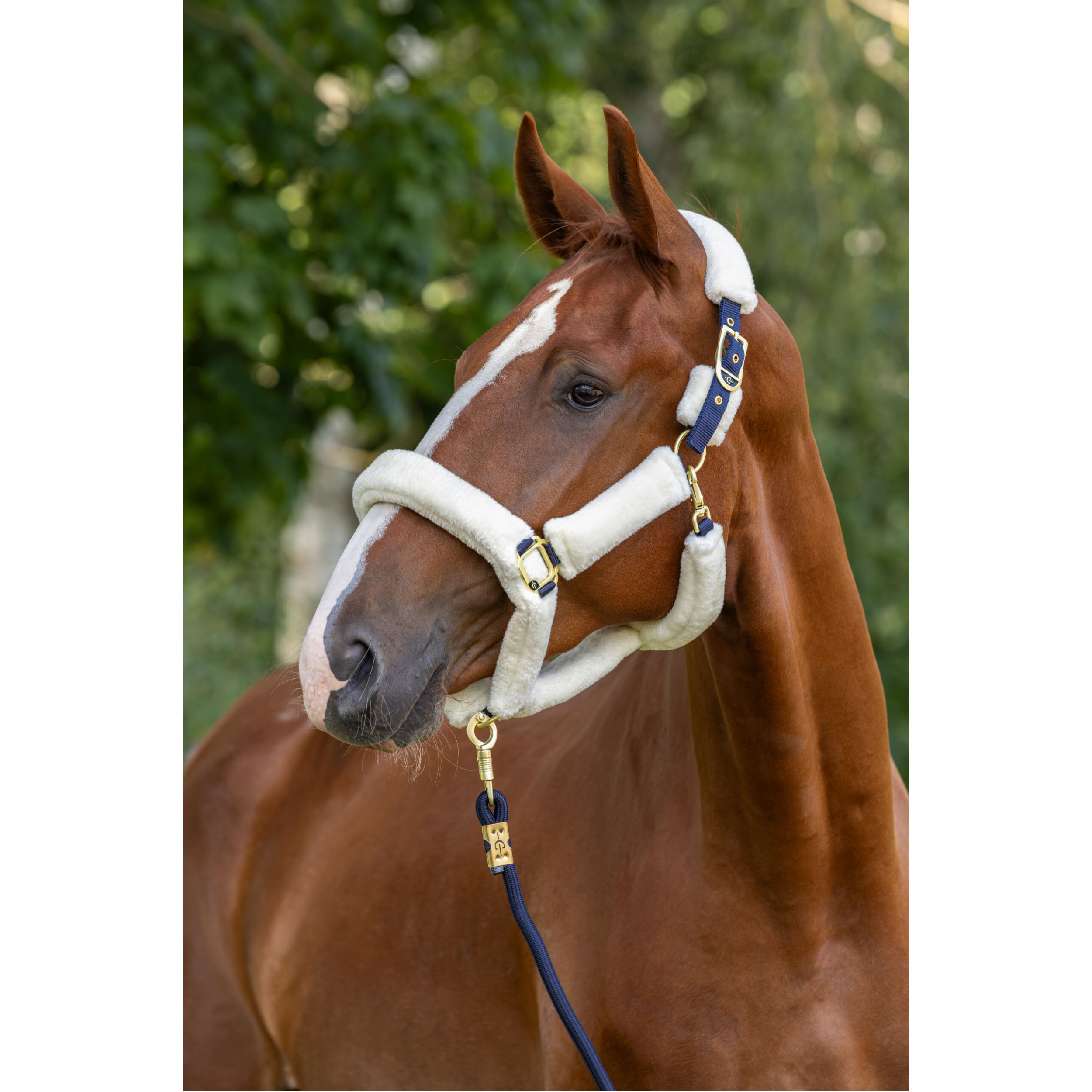 Halfter SuperSoft 2.0 navy