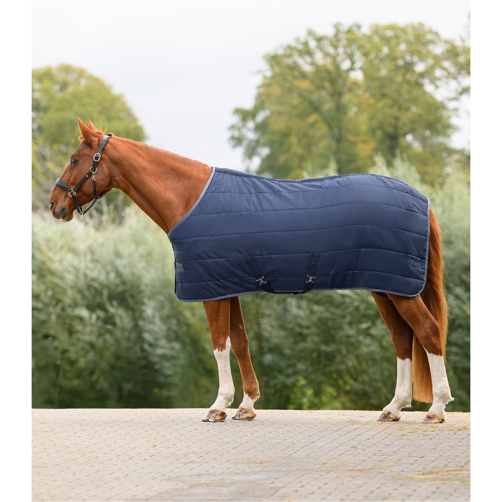 Stalldecke 100g Füllung 420D ECONOMIC nachtblau
