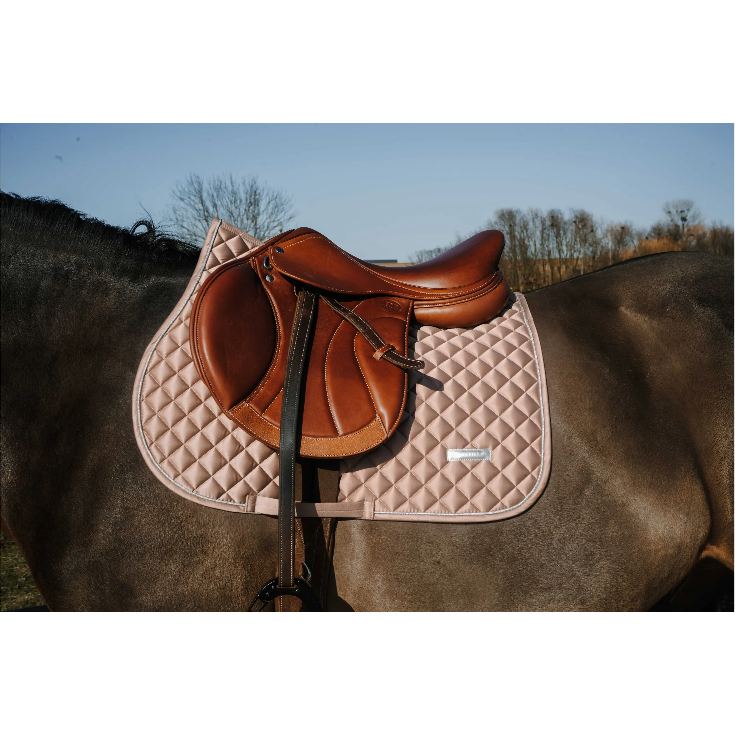 Schabracke NACRE bronze Warmblut Vielseitigkeit