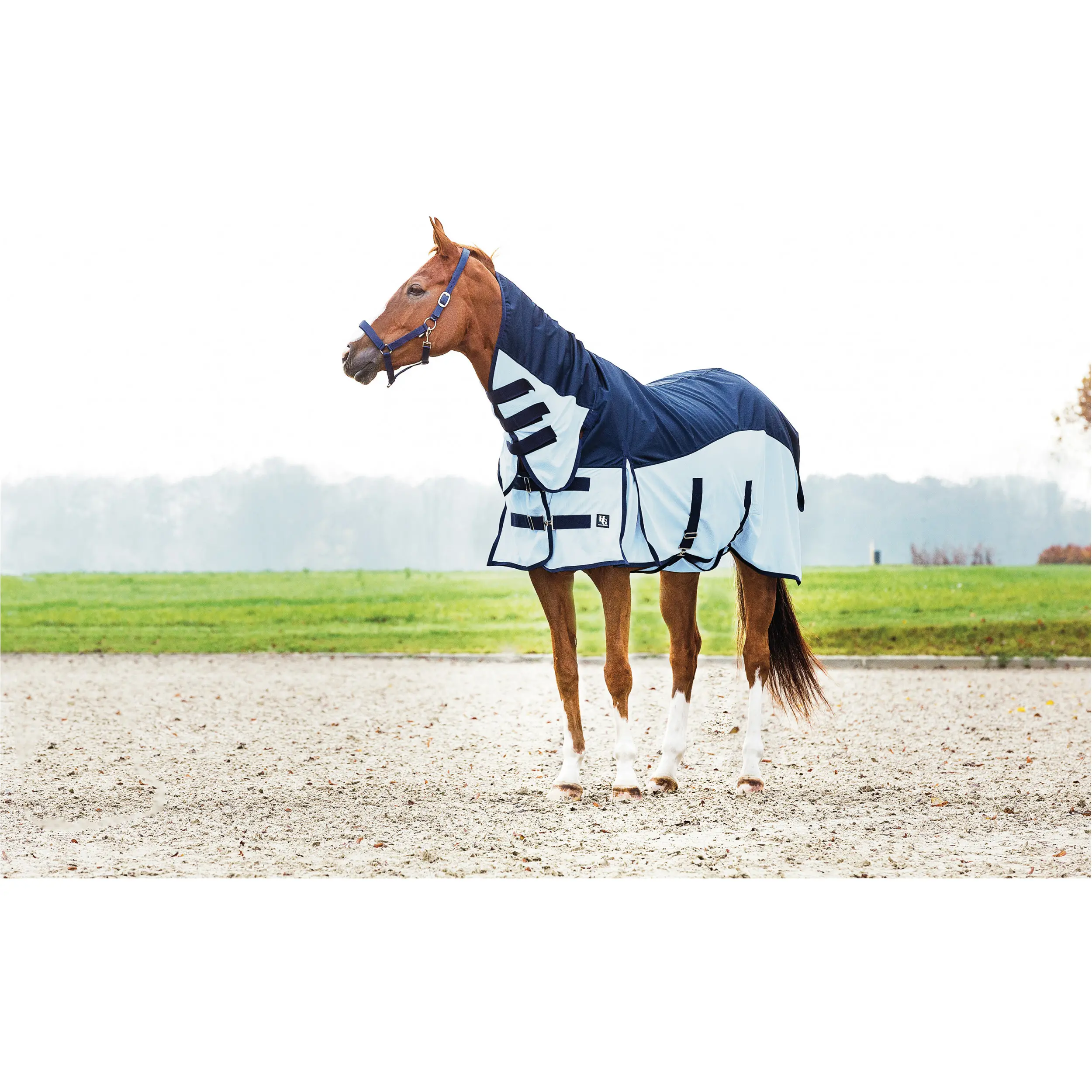 Fliegen- und Regendecke mit Halsteil 600D AIMAN placid blue
