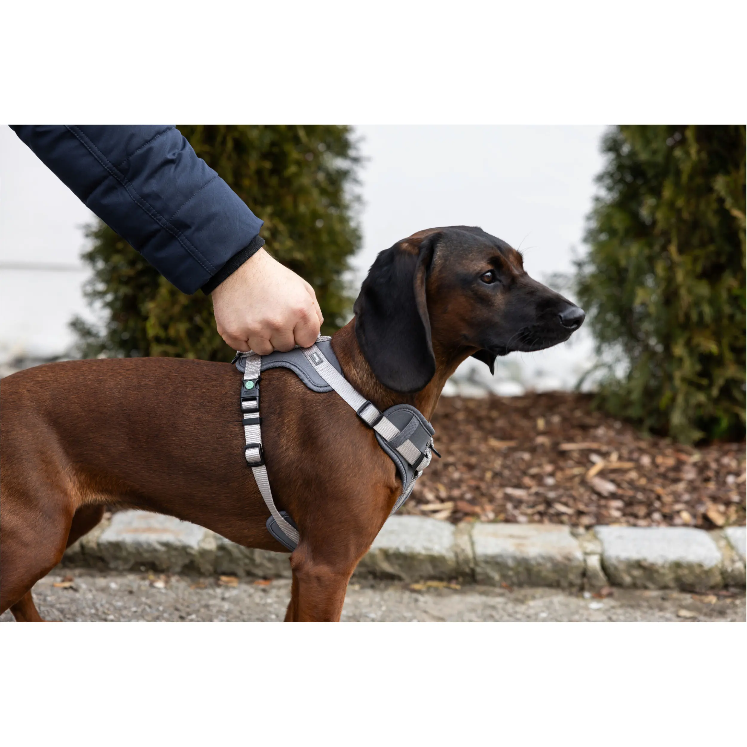 Hundegeschirr FITTY grau/beige