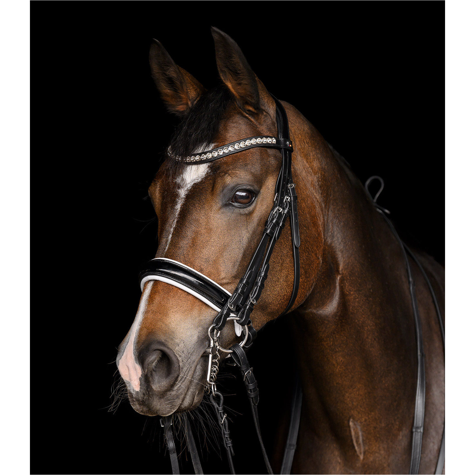 Kandarenzaum X-Line EVERMORE schwarz