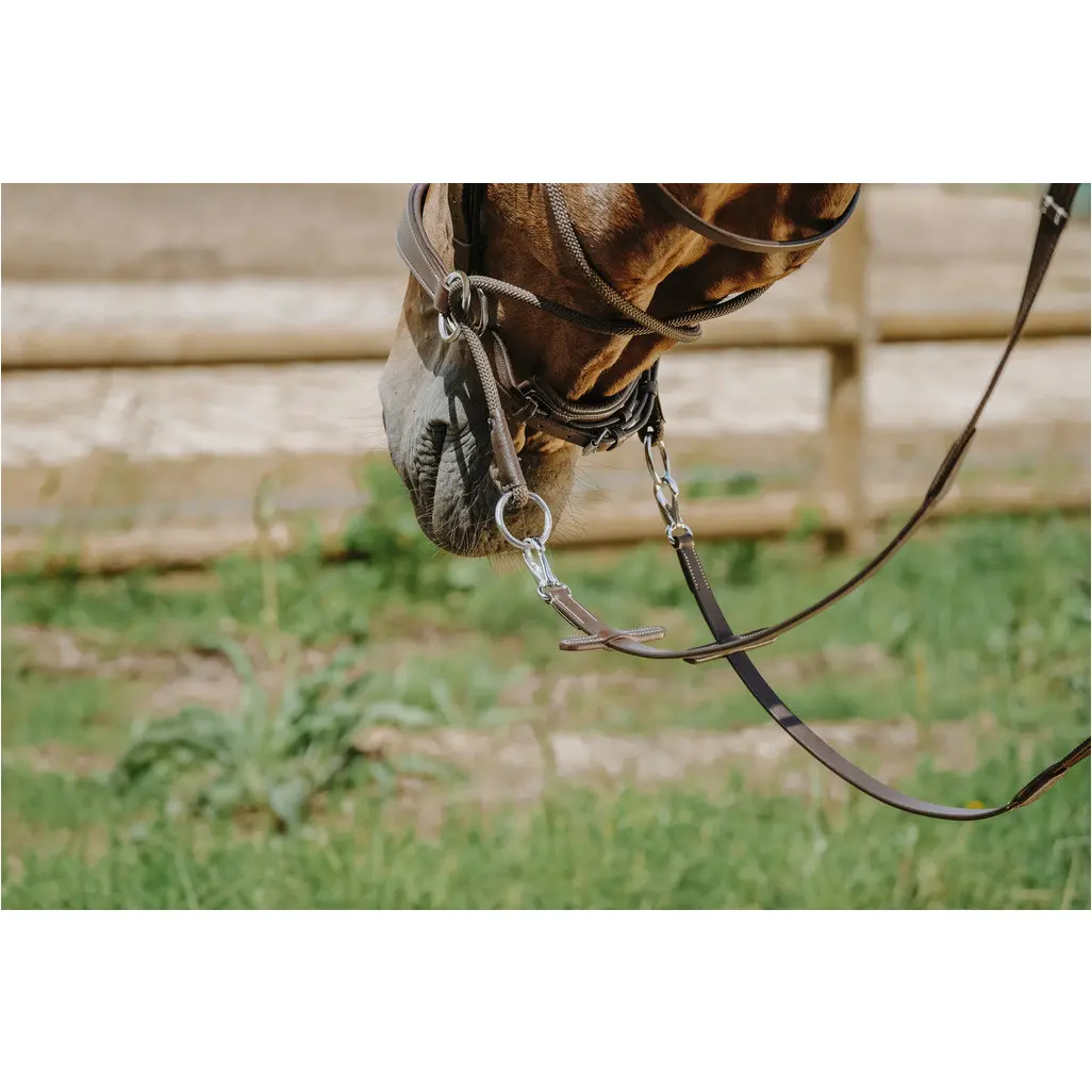 Trensenzaum und Gurtzügel BITLESS Echtleder havana Trensenzaum und Gurtzügel BITLESS Echtleder havana