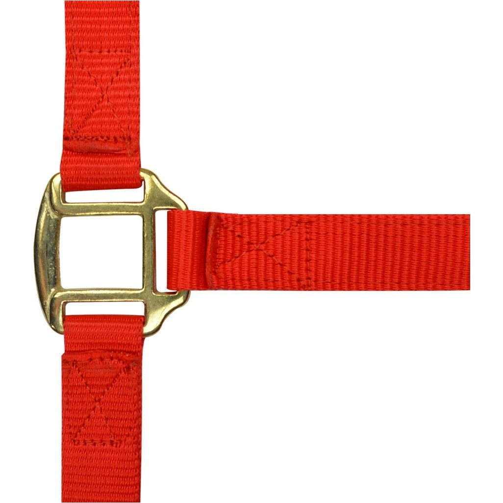 rot