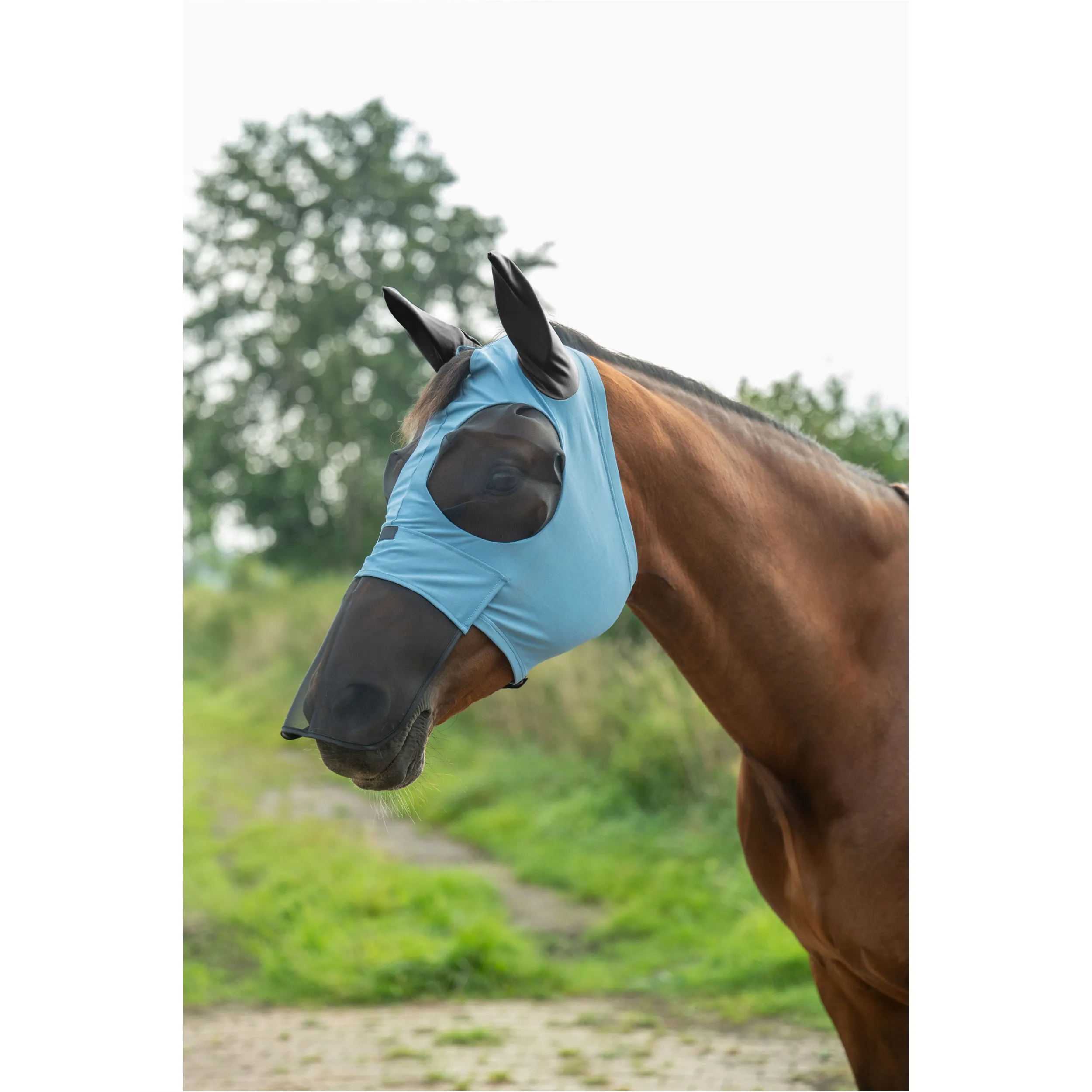 Fliegenschutzmaske mit Nüsternschutz ELASTIC rauchblau
