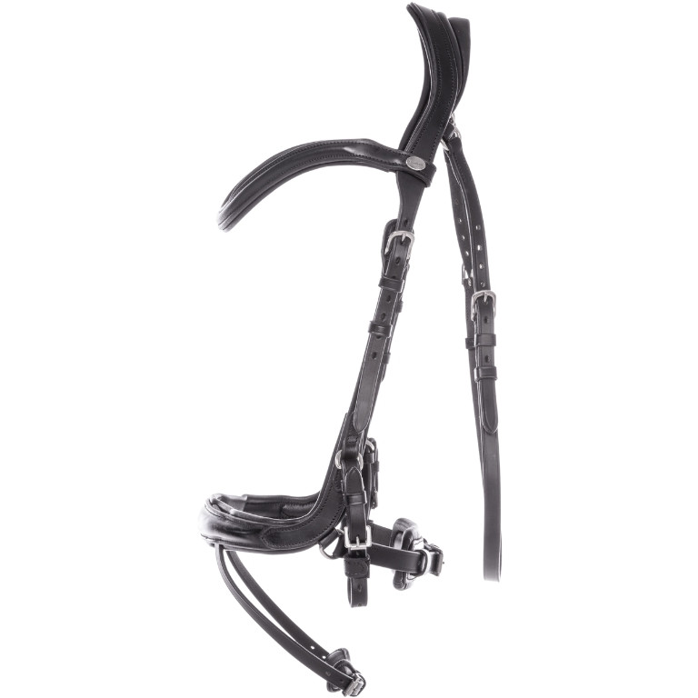 Trensenzaum englisch kombiniert CAJUS schwarz