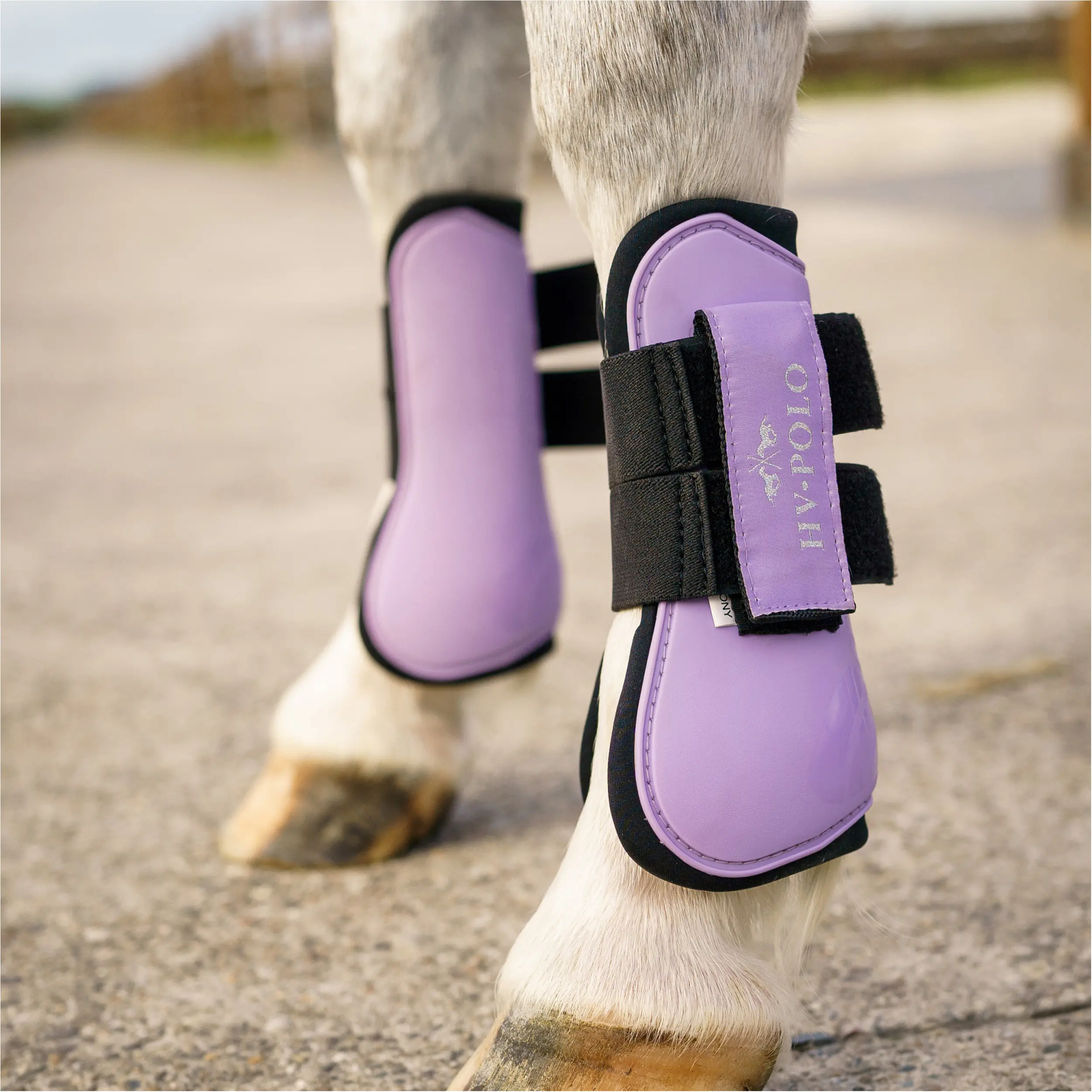 Gamaschen & Streichkappen (4er Set) HVPClassic violet