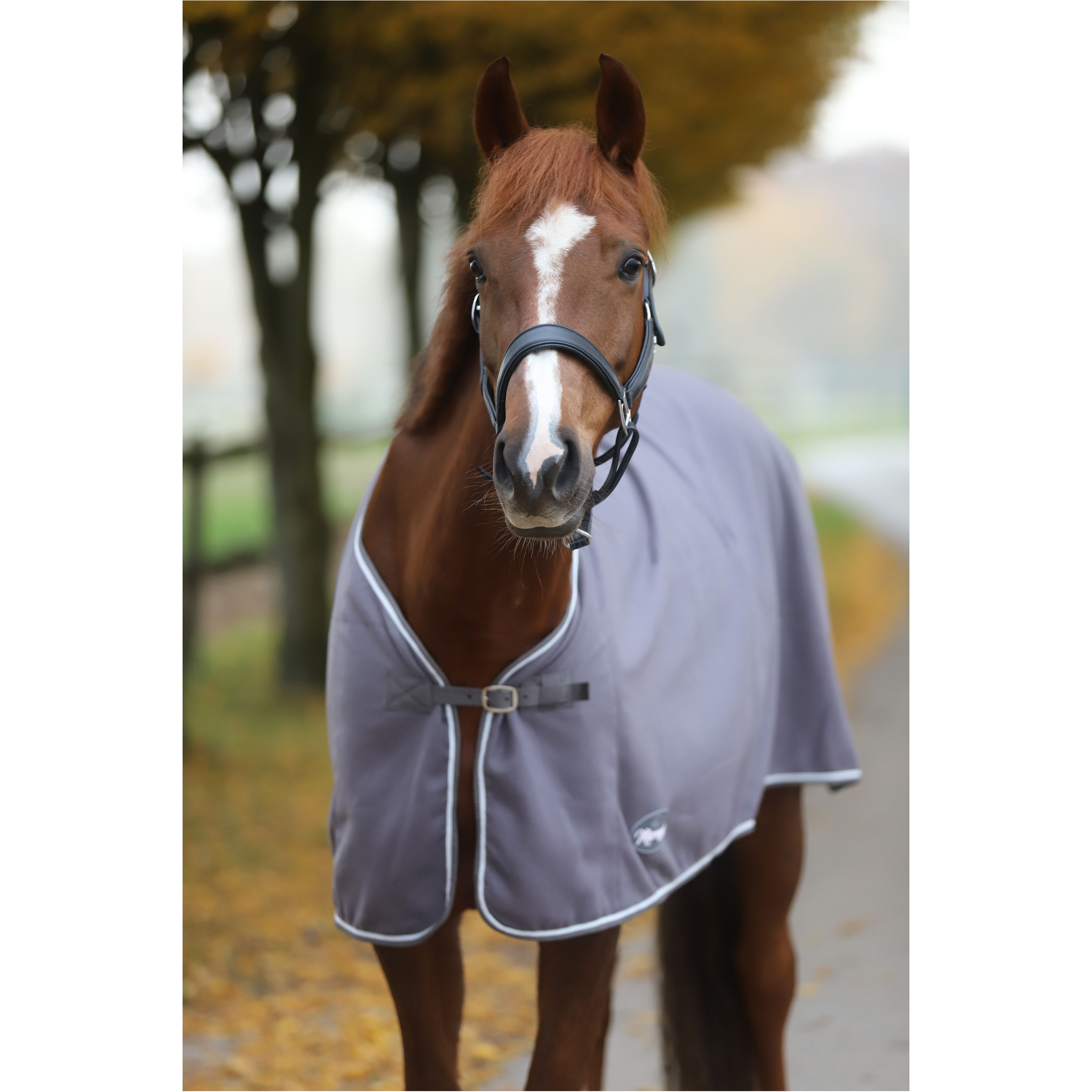 Abschwitzdecke ECONOMIC grau Abschwitzdecke ECONOMIC grau