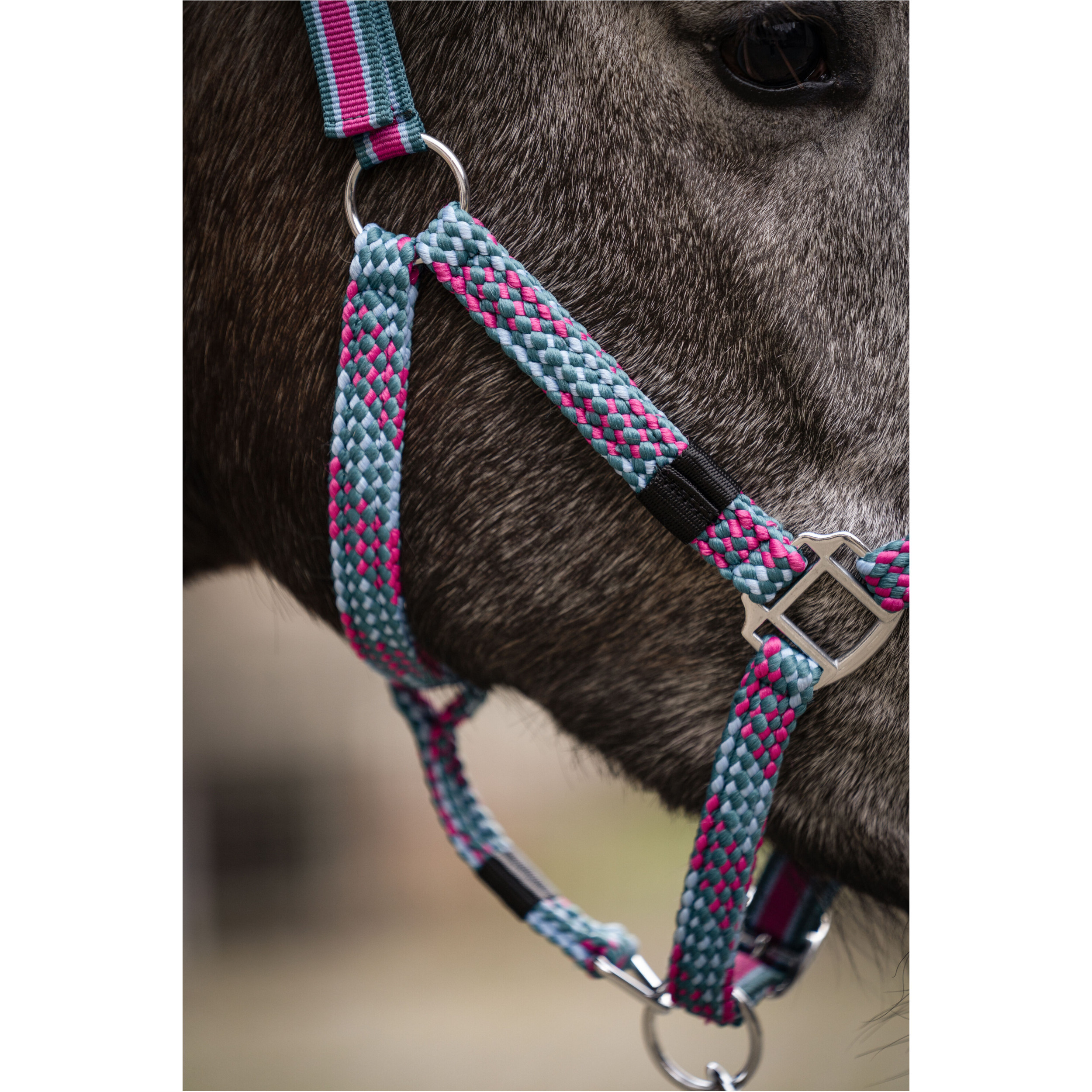 Halfter MANCHESTER pink/petrol Halfter MANCHESTER pink/petrol