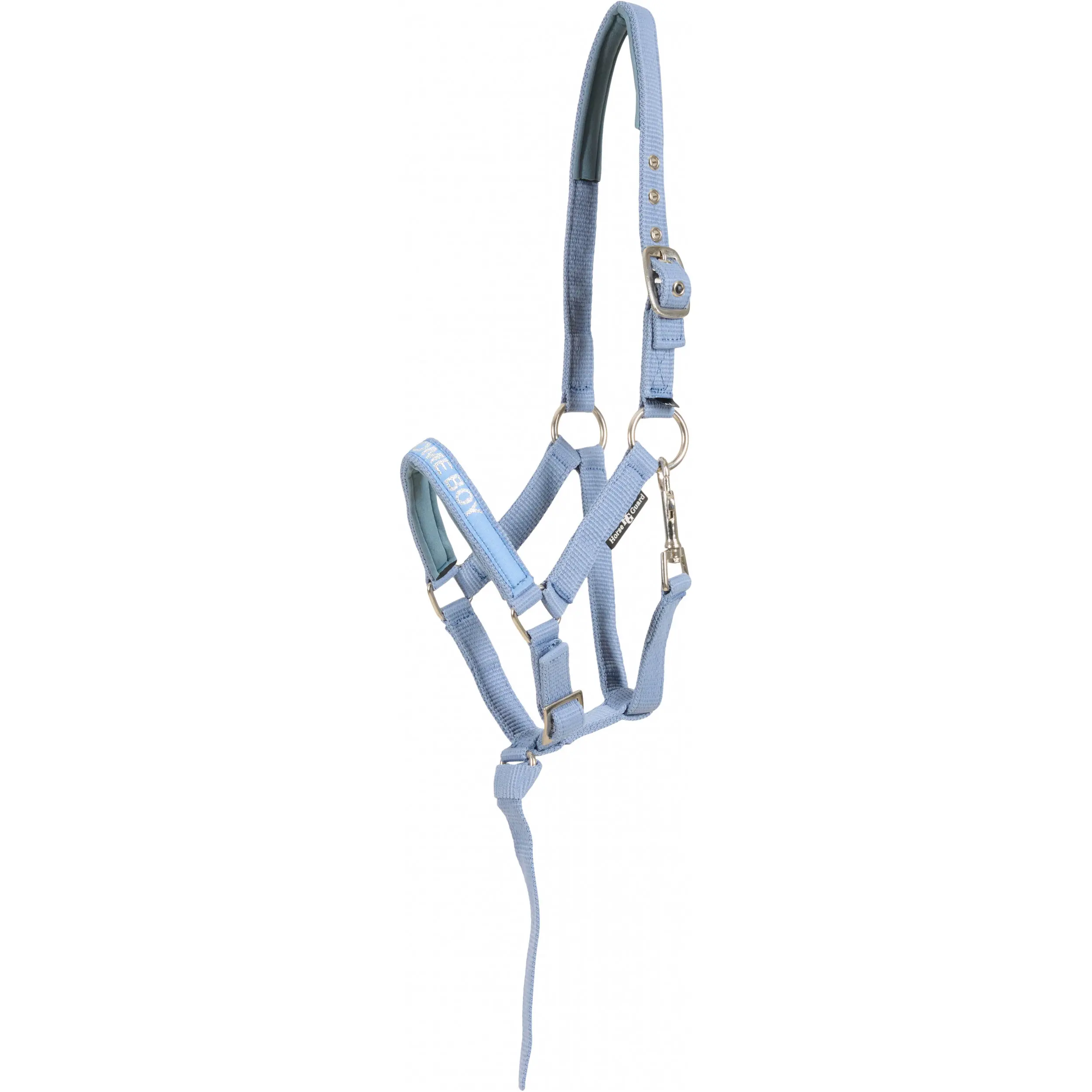 Fohlenhalfter MALVA coronet blue