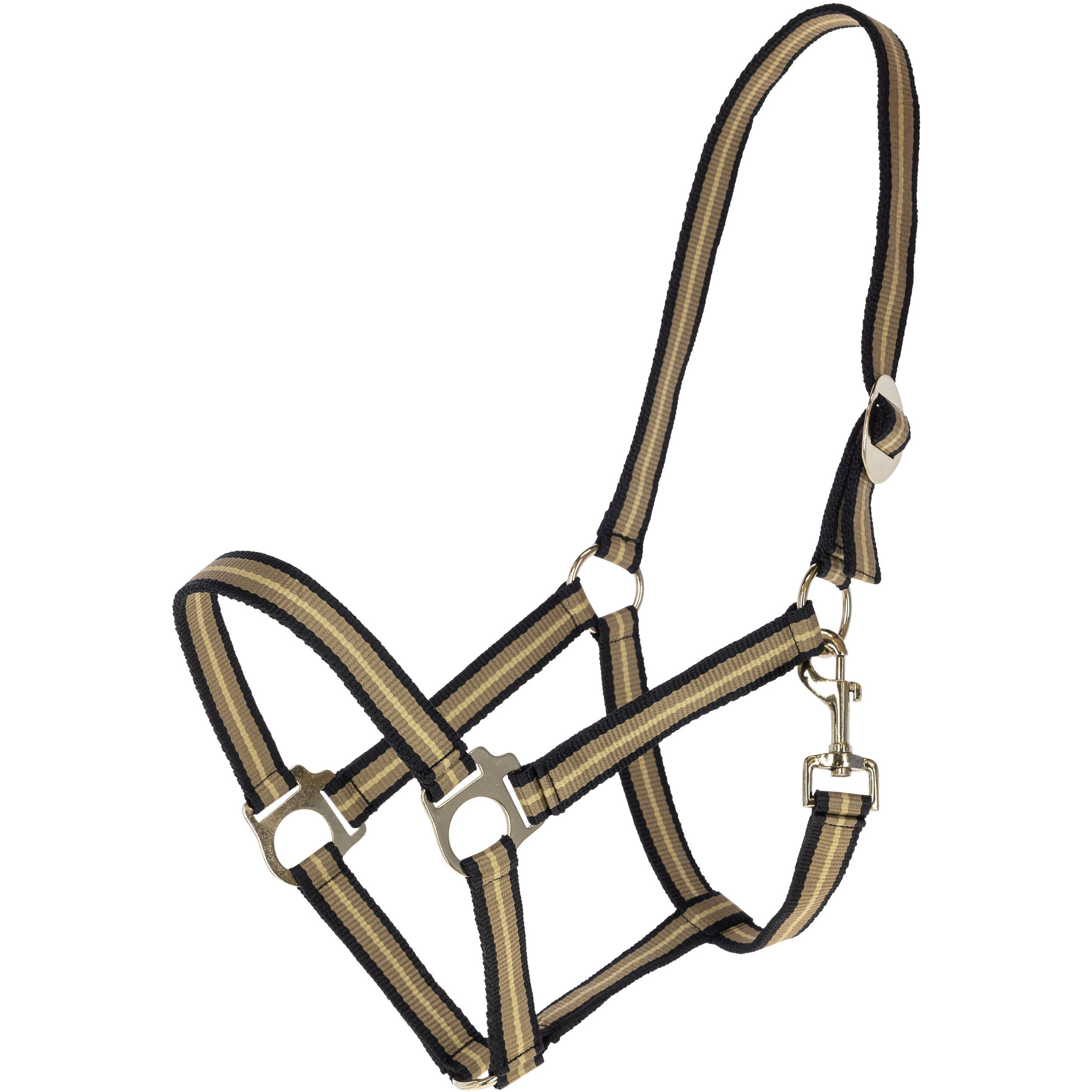 Halfter HIPPO F/S 2026 black/walnut