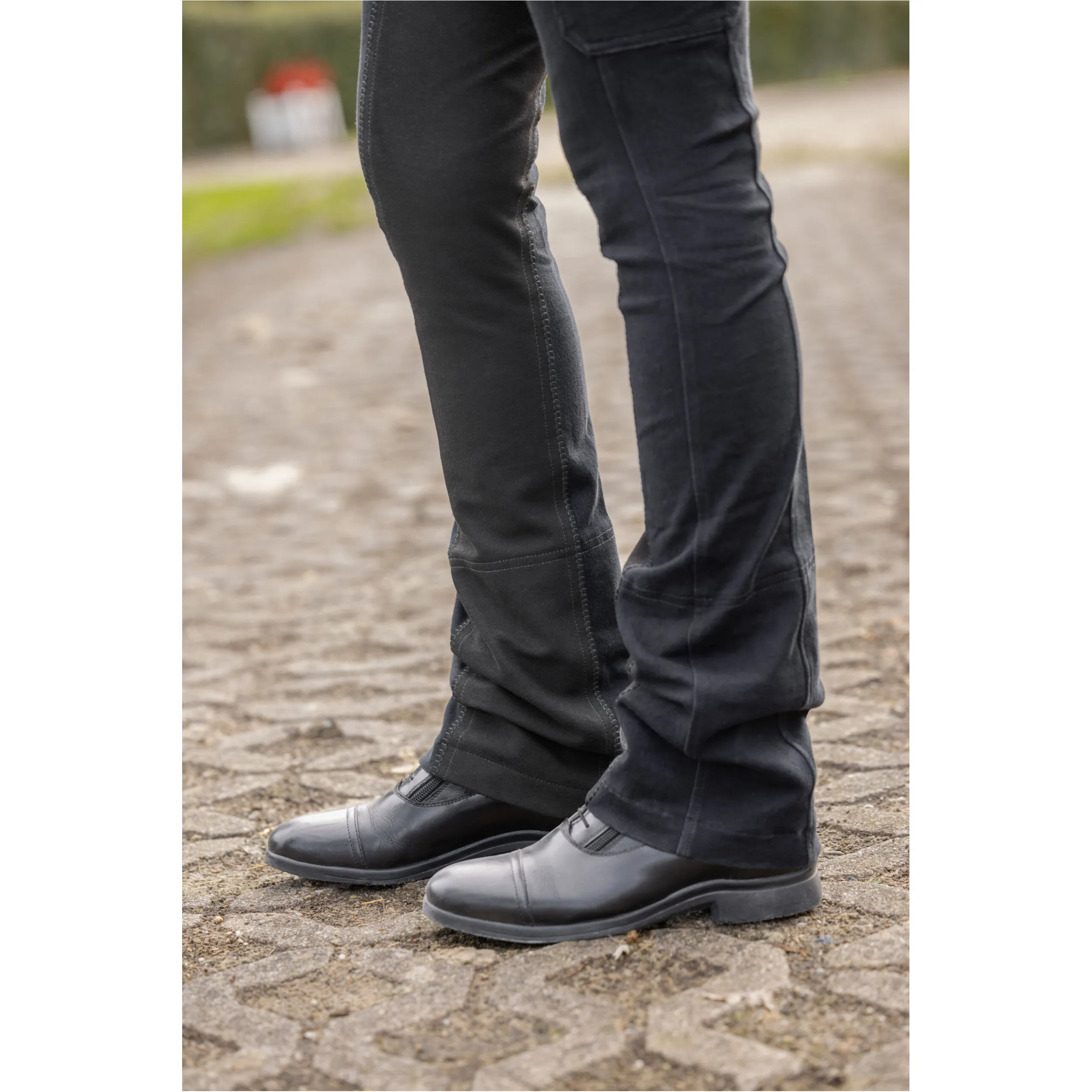 Damen Jodhpur Reithose Vollbesatz BASIC PLUS graphite