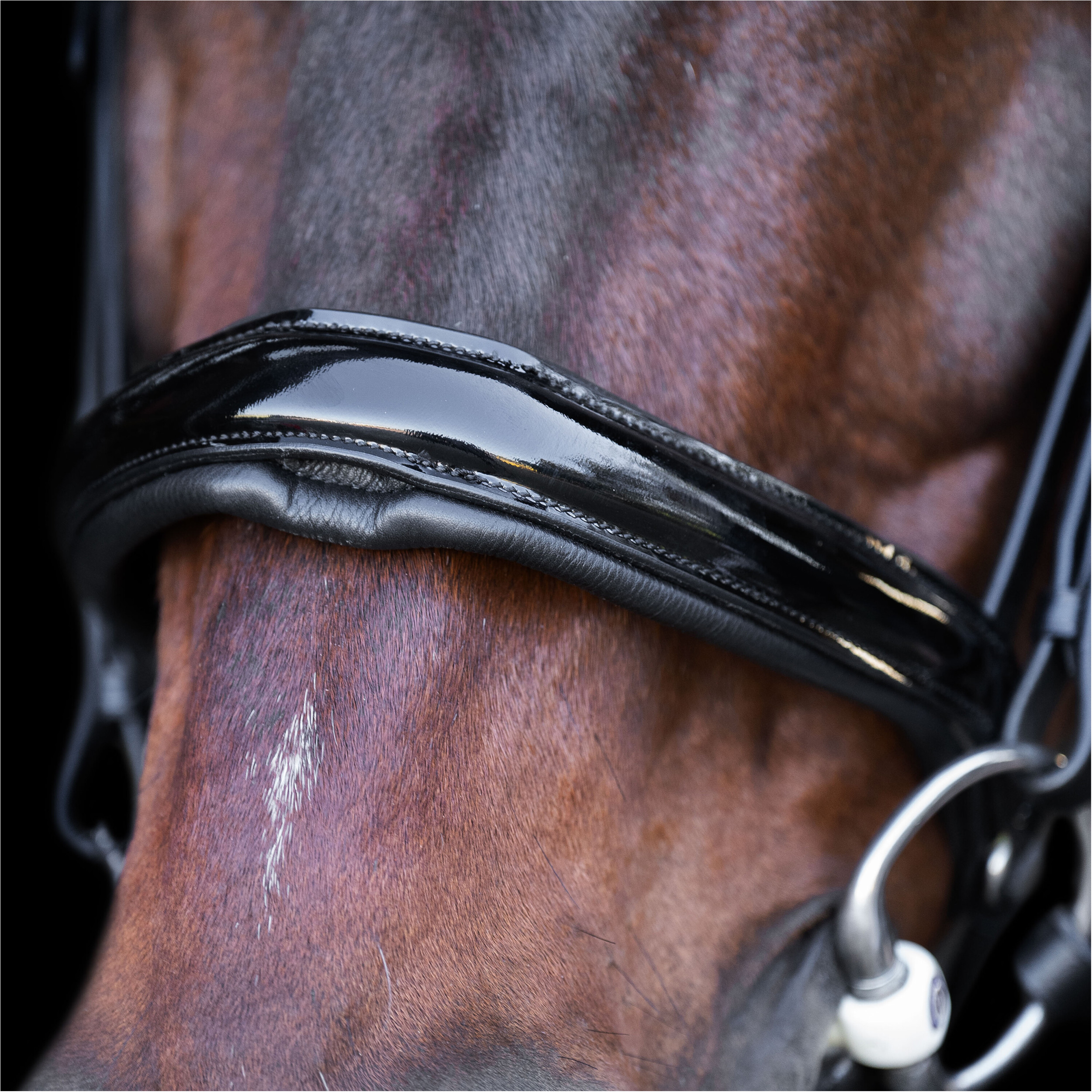 Trensenzaum mit englischem Nasenriemen IRH schwarz-crystal 