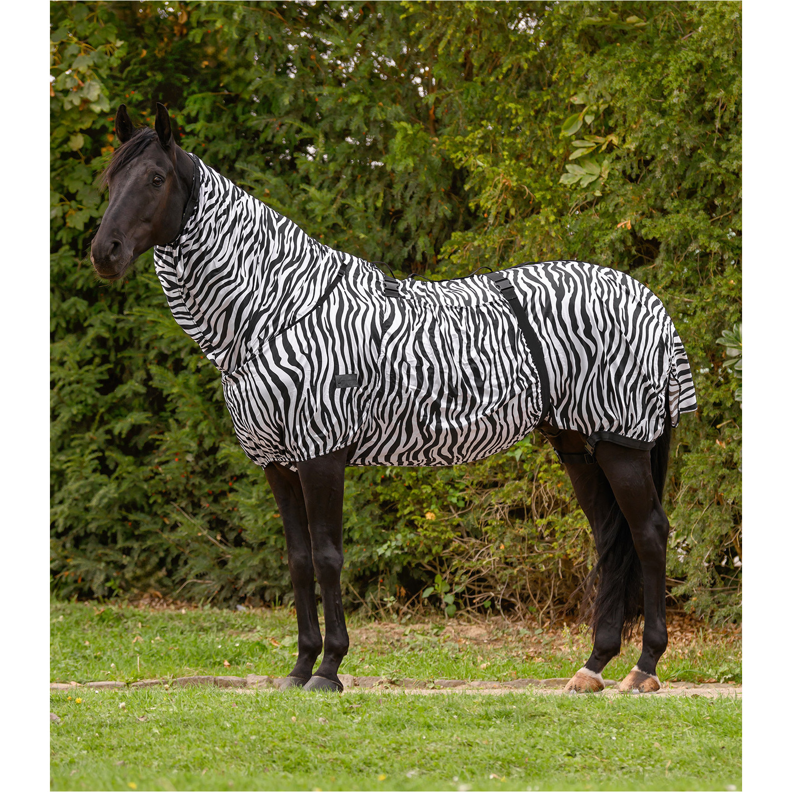 Ekzemerdecke Zebra BASIC schwarz/ weiß