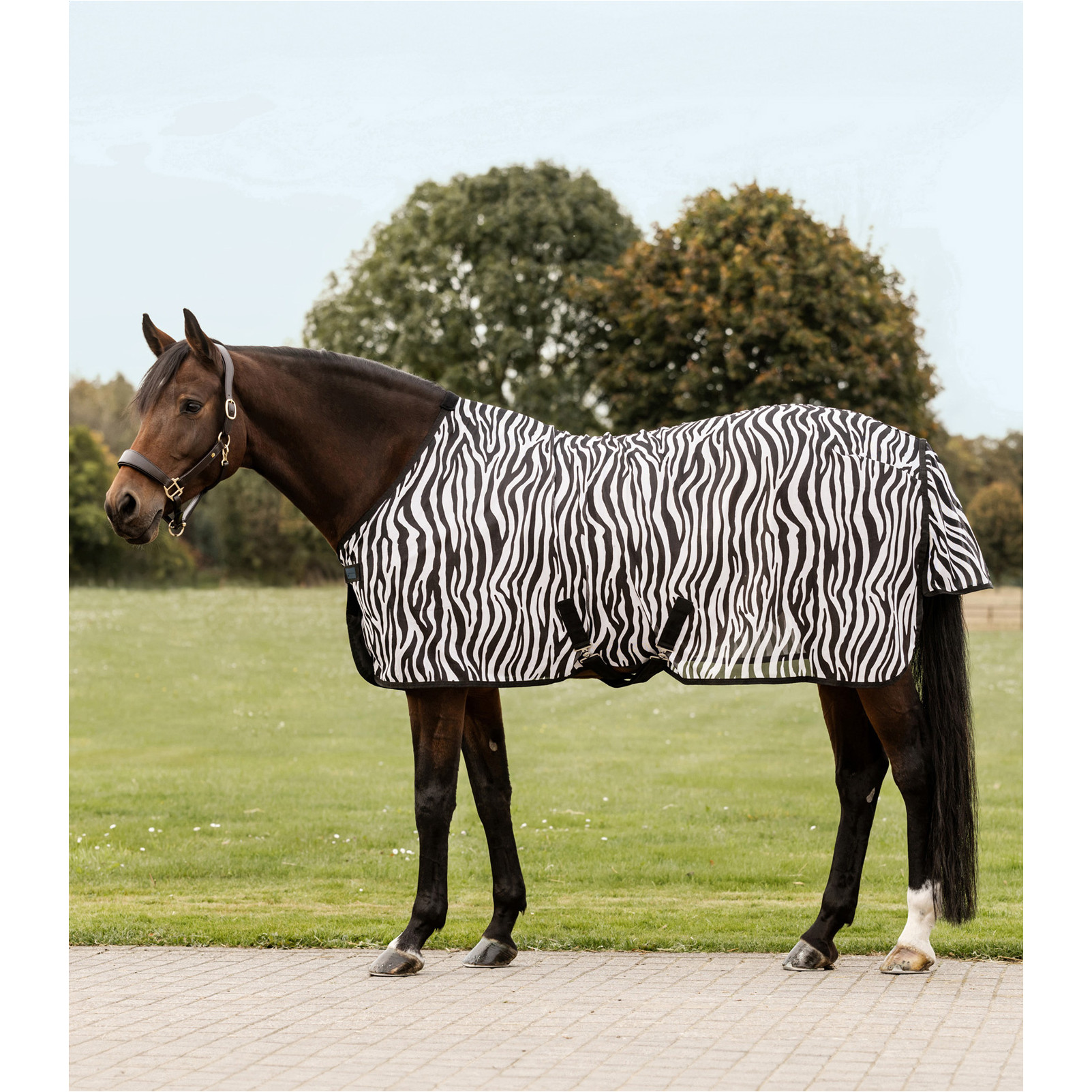 Fliegendecke ZEBRA mit Kreuzgurten schwarz/weiß