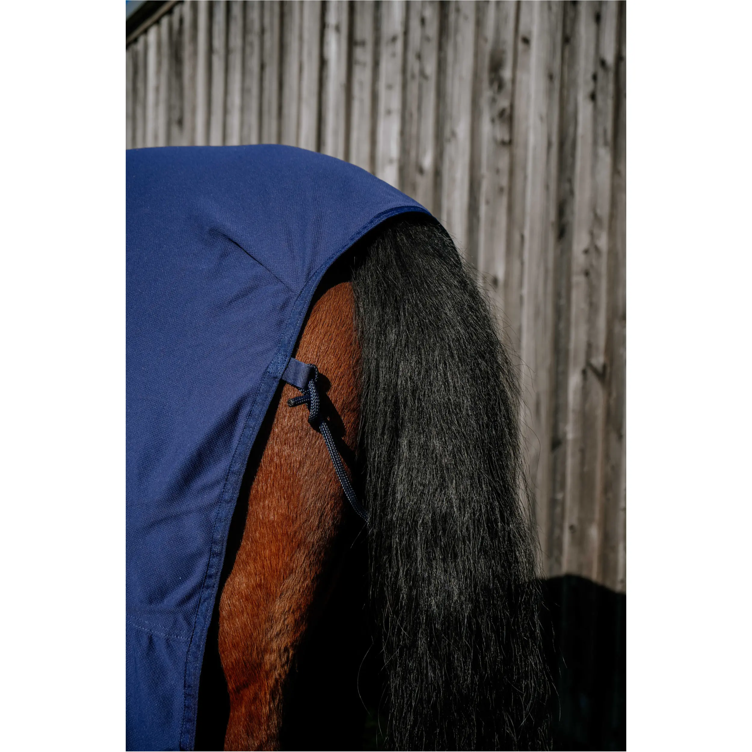Kühldecke COOL&DRY FRESH navy