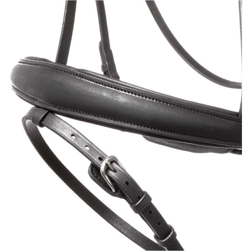 Trensenzaum mit schwedischen Reithalfter EVERLYN Leder geölt schwarz