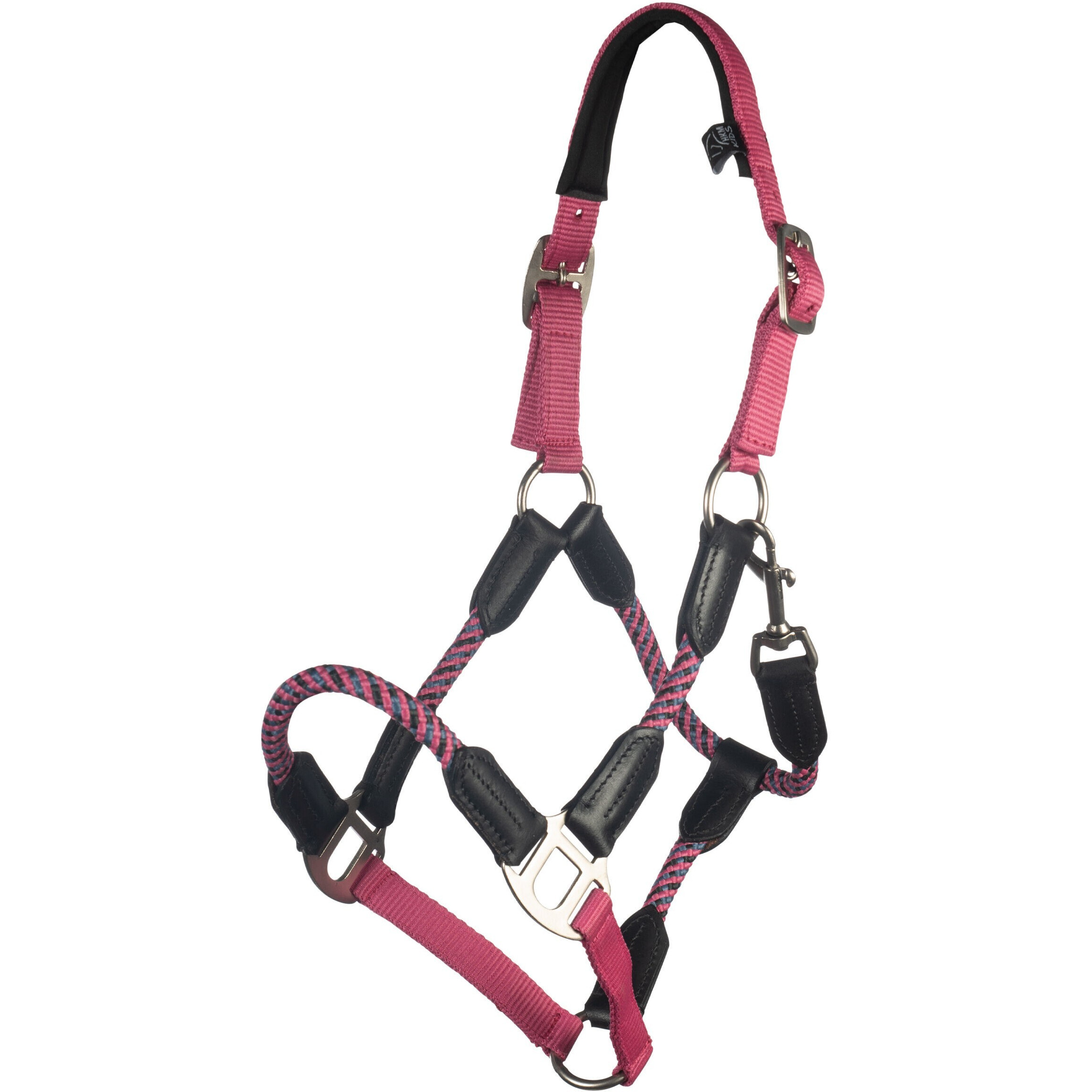 Halfter NELE pink Halfter NELE pink
