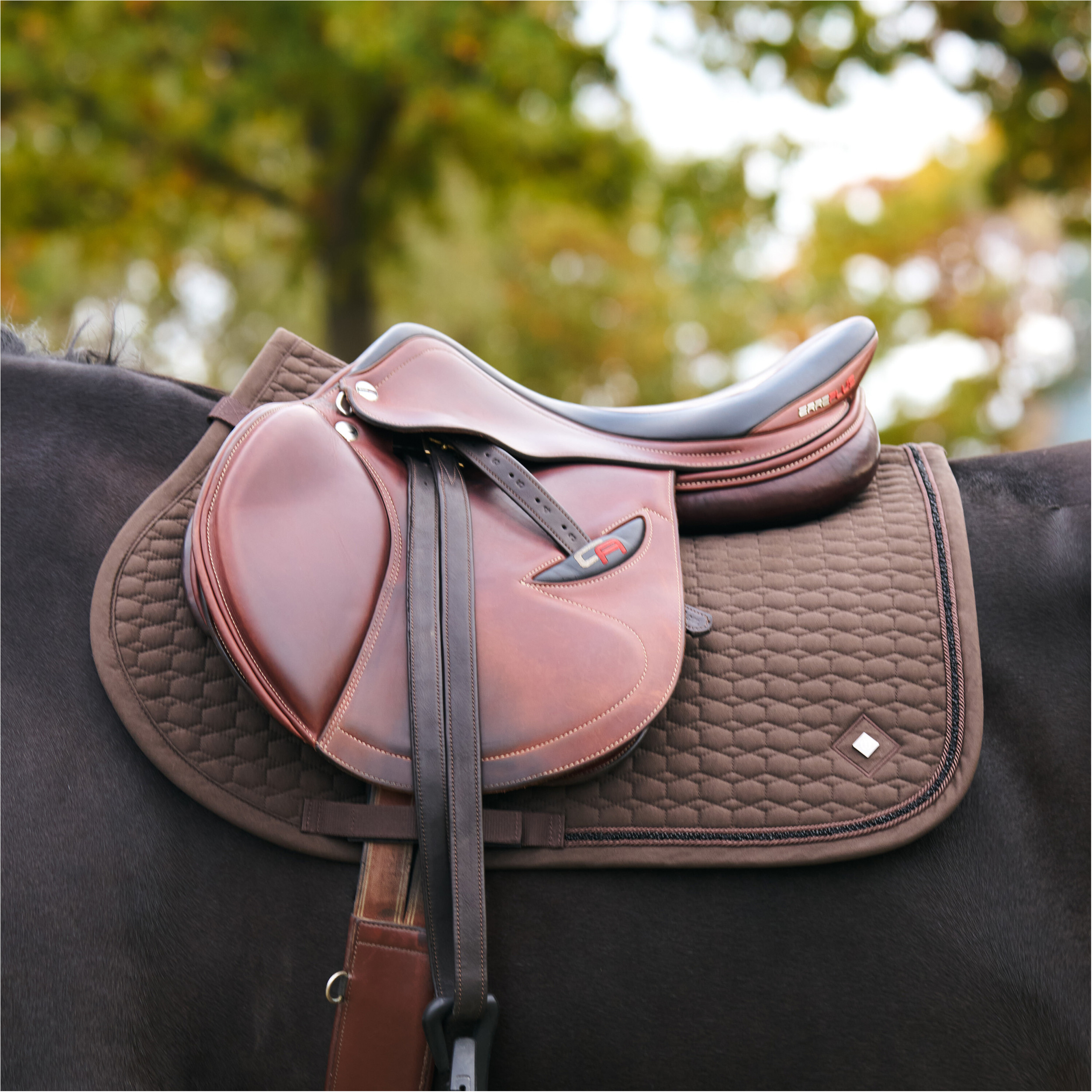 Schabracke IRHMaria chocolate