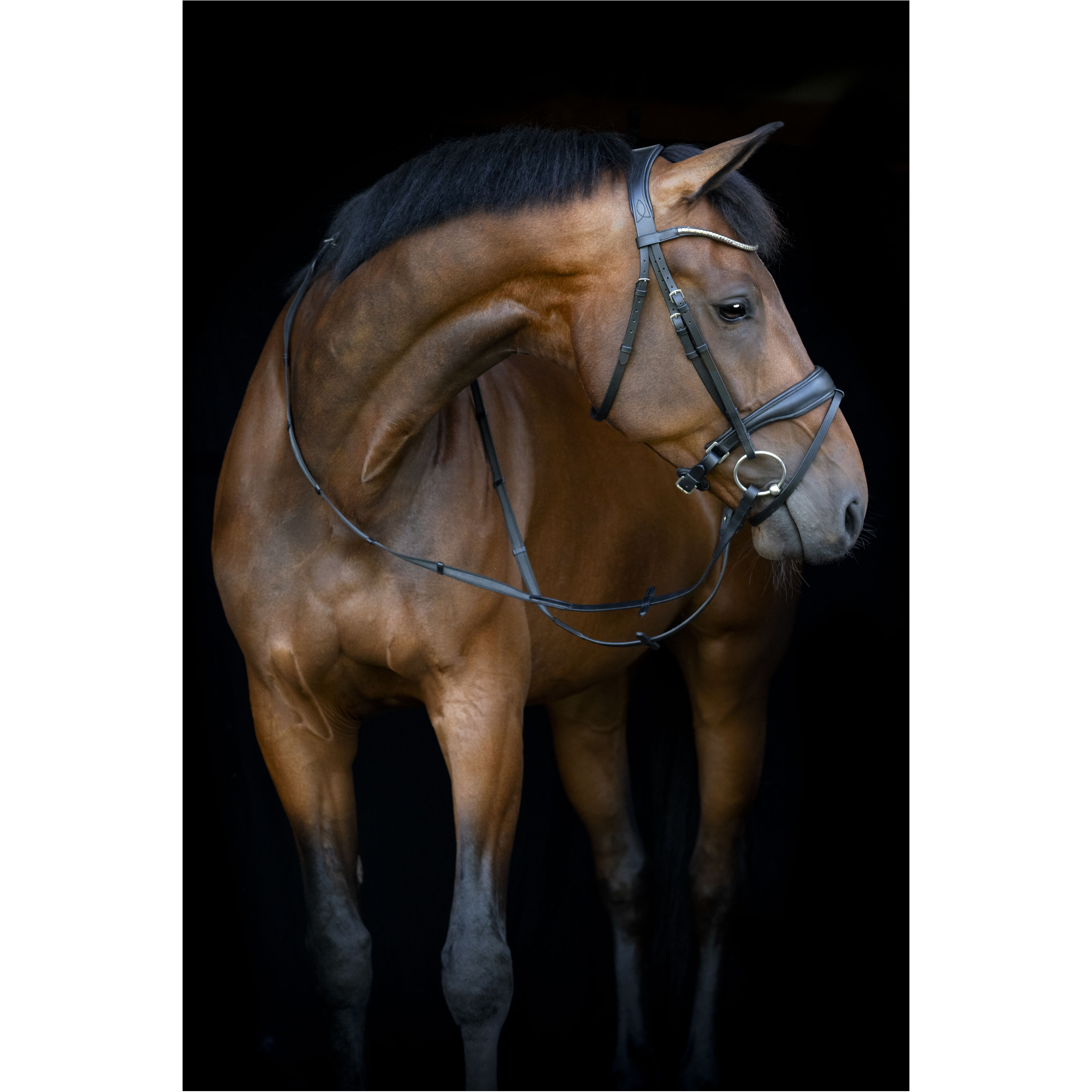 Trensenzaum schwedisch kombiniert CRYLL 26.1 schwarz