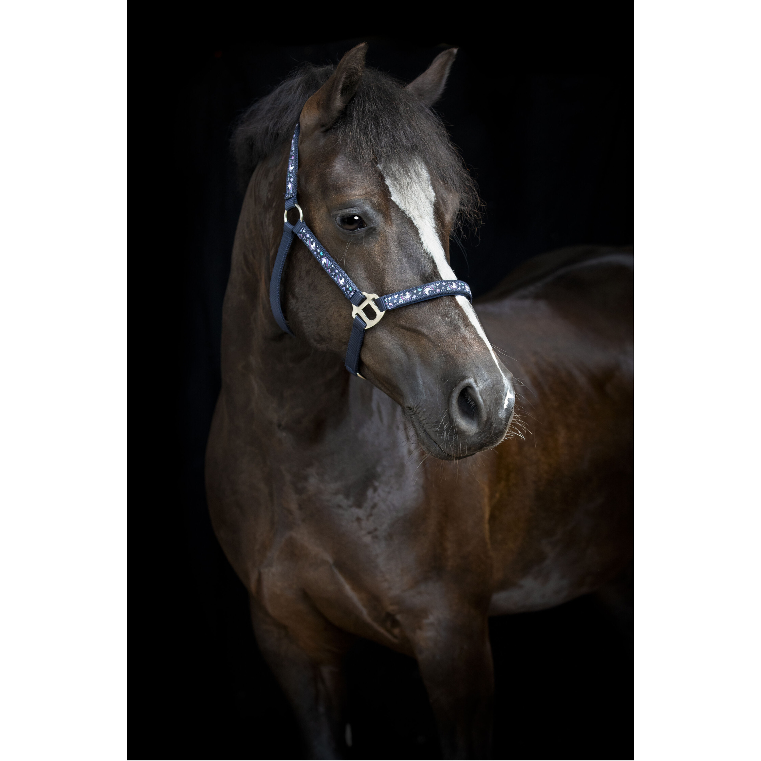 Halfter FANTASY navy