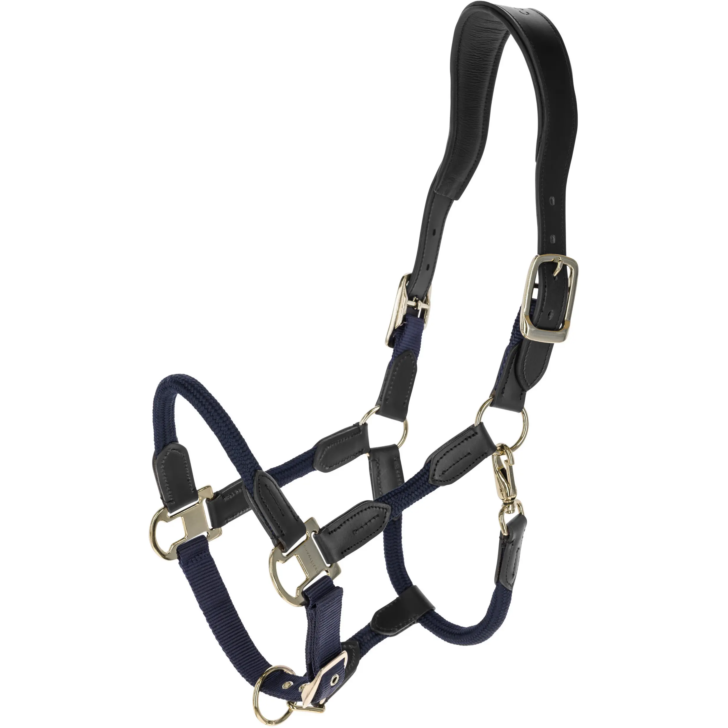 Halfter CORDANO Deluxe F/S 2026 dark navy