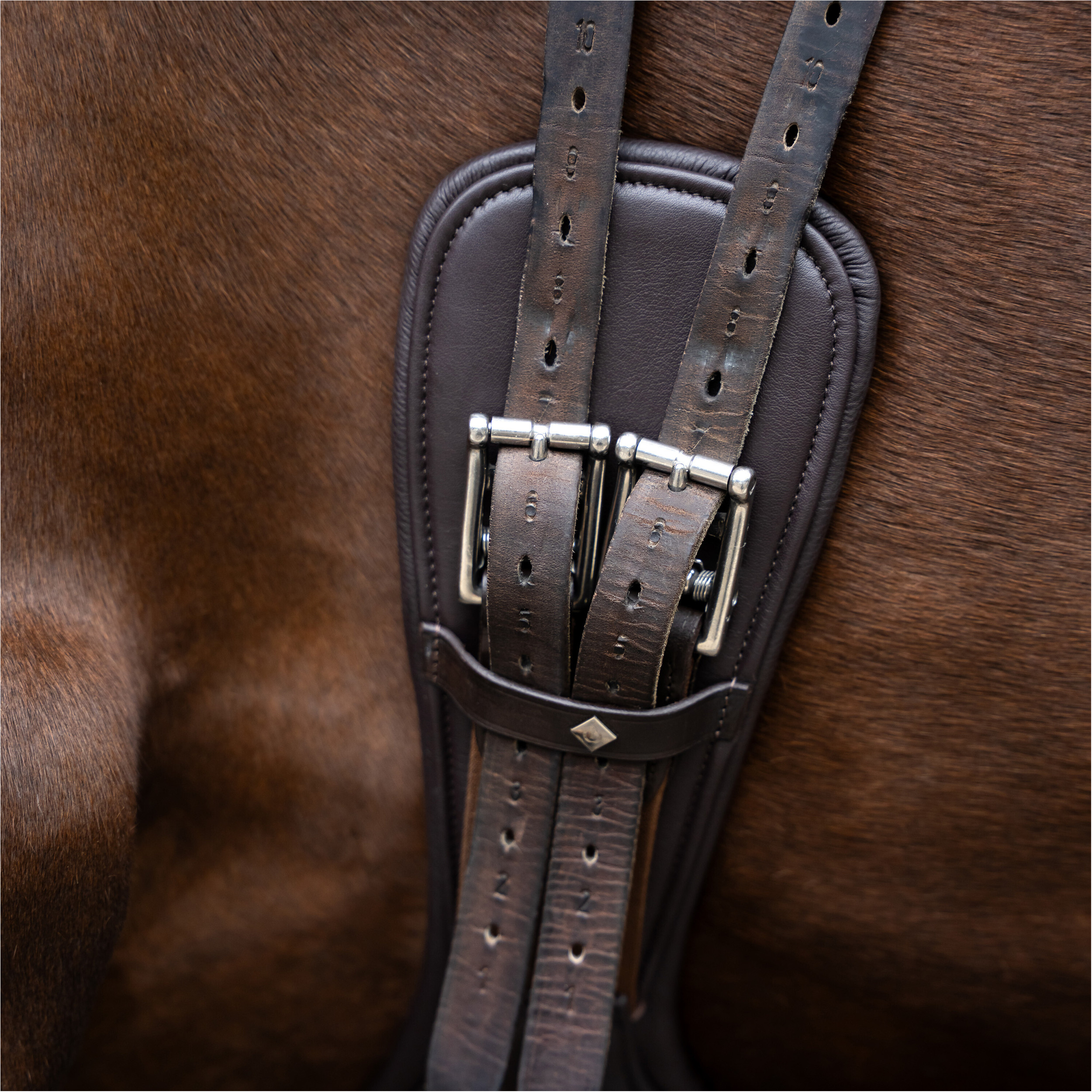 Dressurgurt IRH anatomisch mit Rollenschnallen dark braun