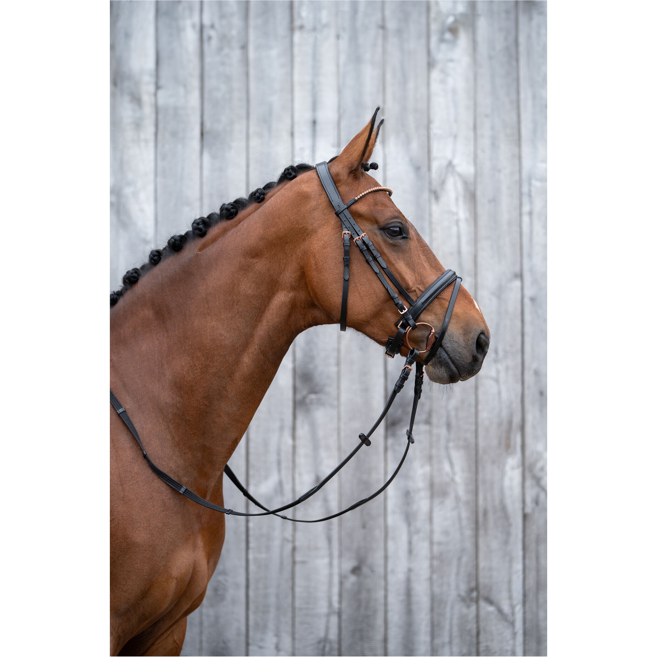 Trensenzaum ROSEGOLD GLAMOUR STYLE schwarz/rosegold